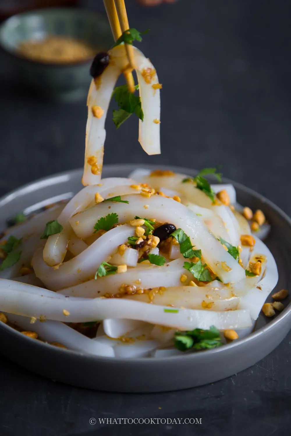 Mung Bean Jelly Noodles Liang Fen 凉粉