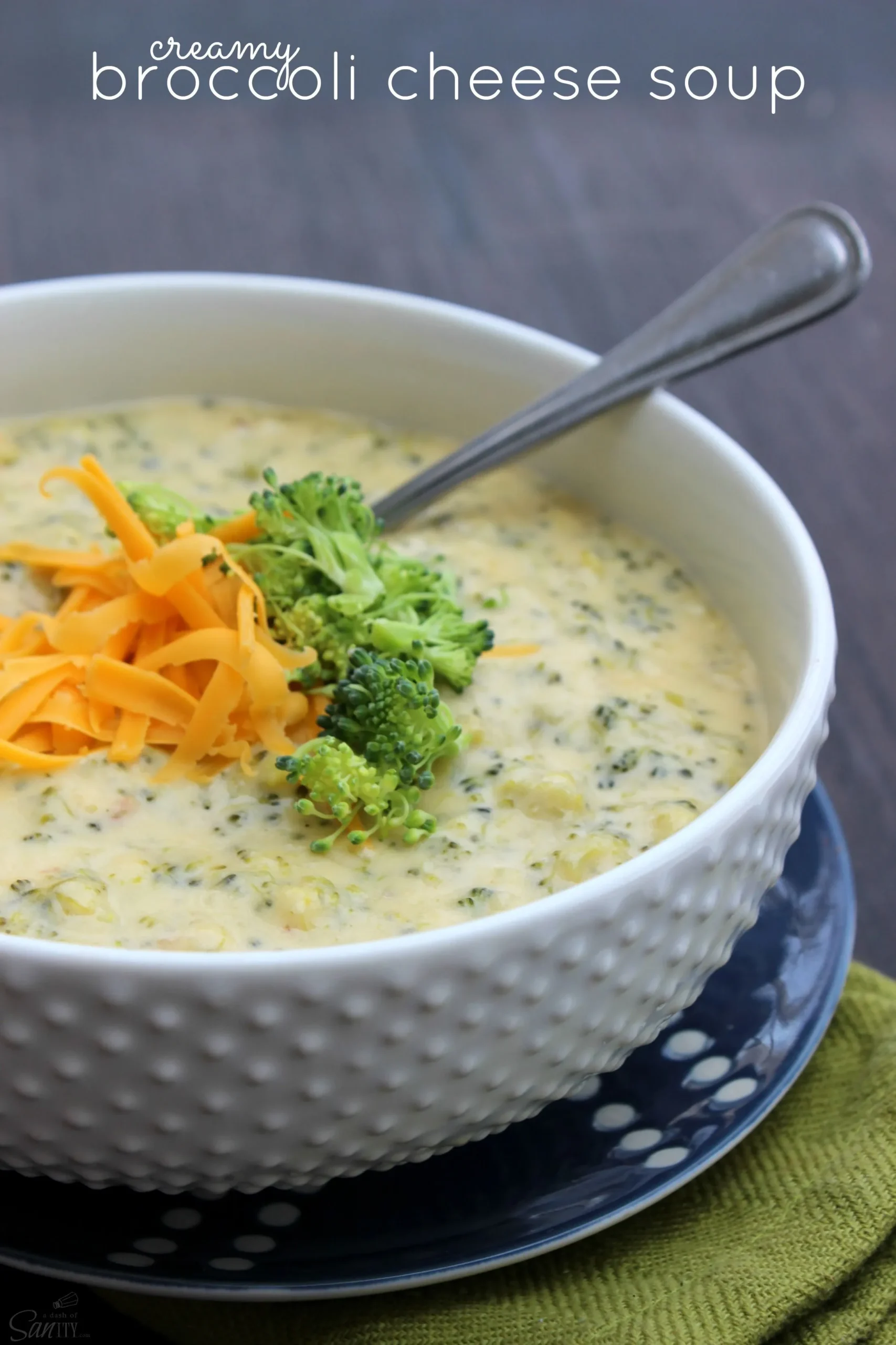 Nancy's Broccoli Cheese Soup