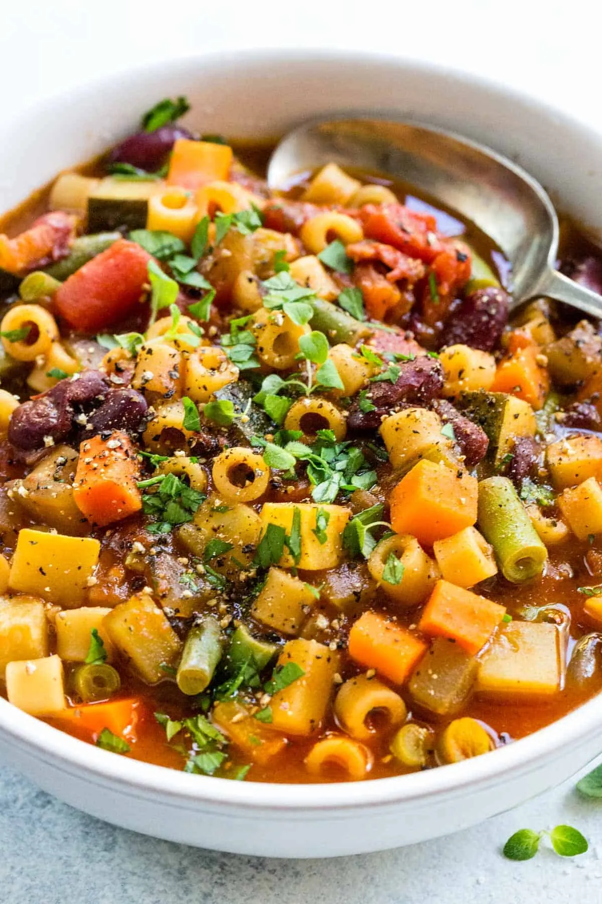 Northern Italy Minestrone Soup