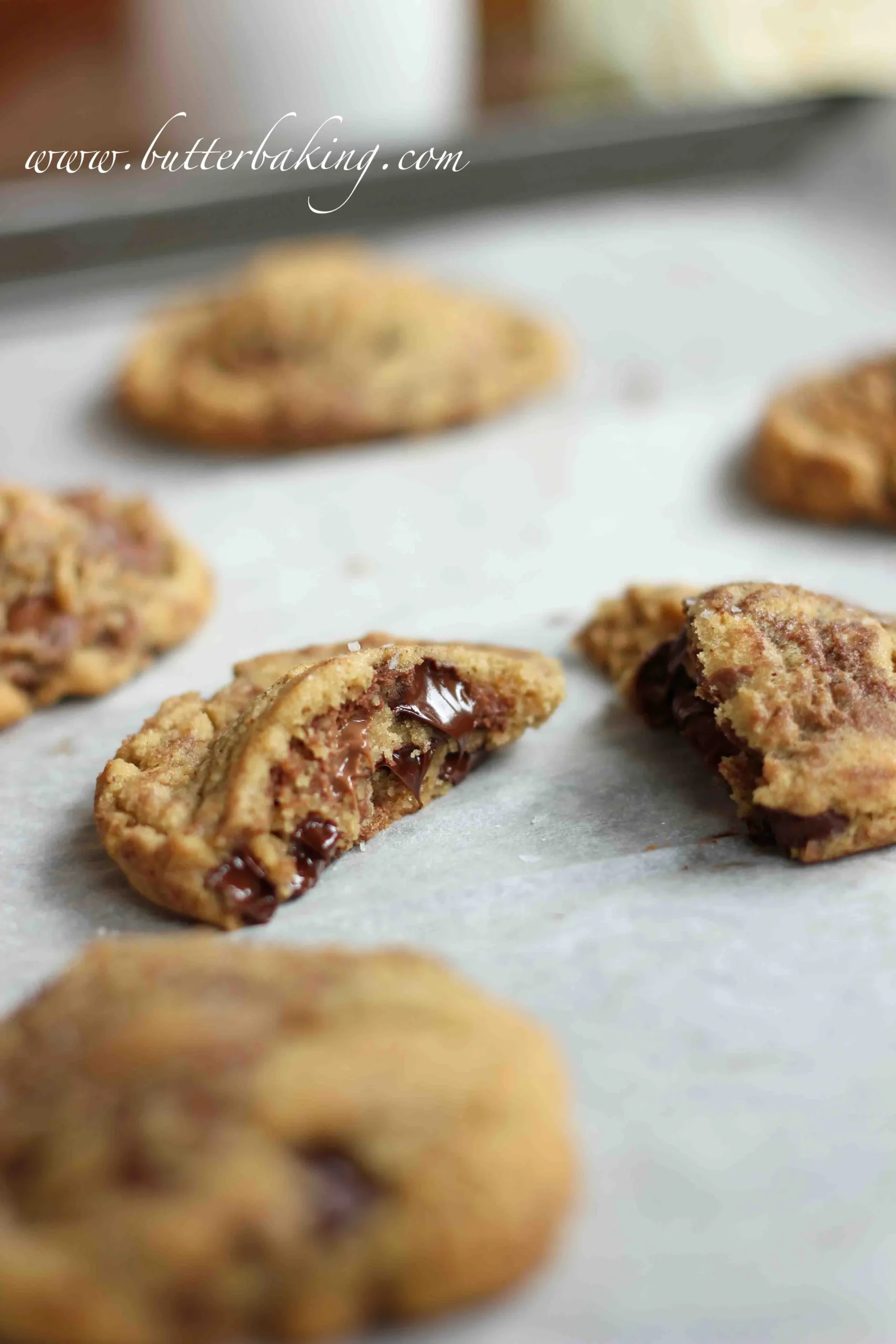 Nutella Swirled Chocolate Chip Cookies