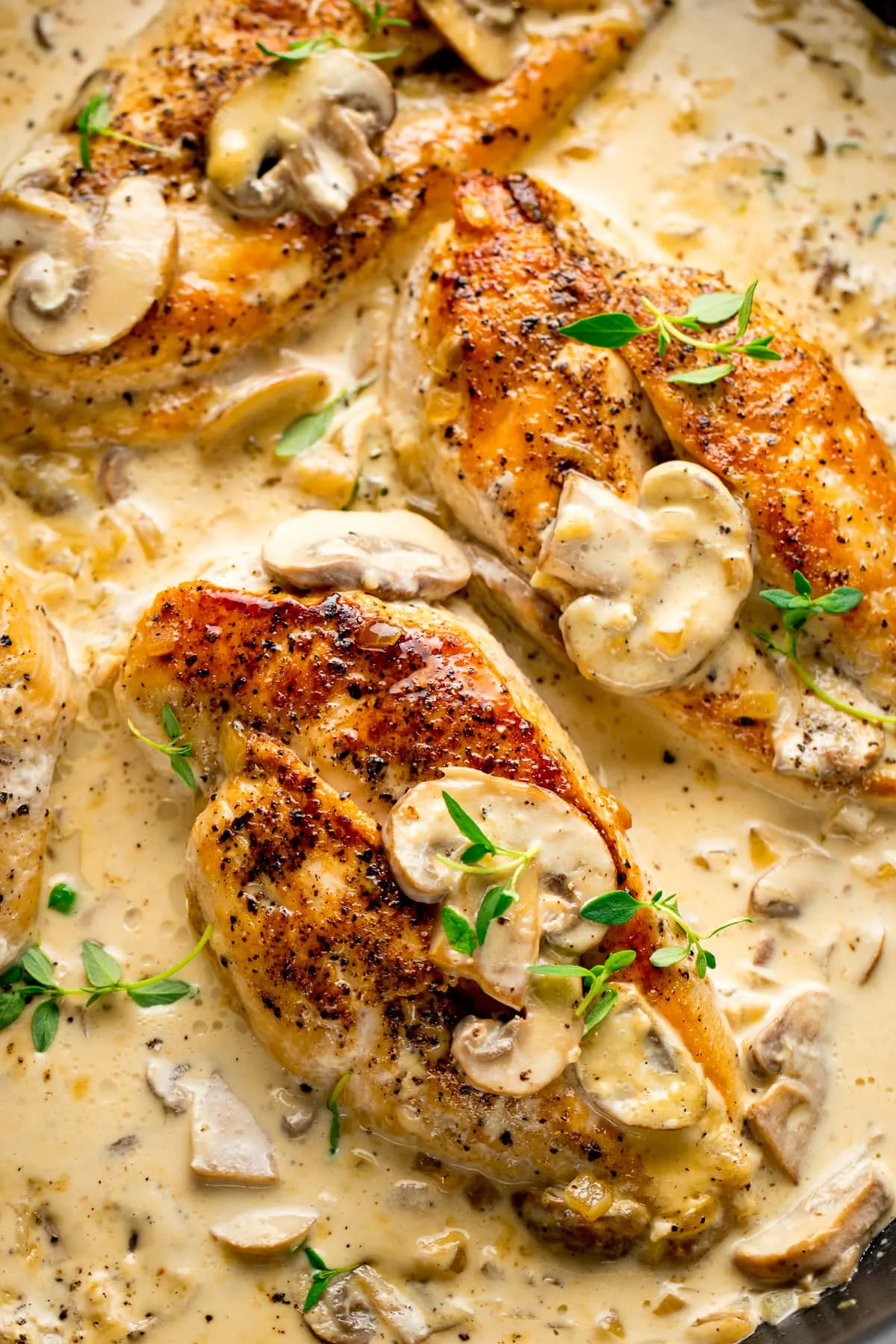 One Pan Chicken White Wine Mushroom Sauce