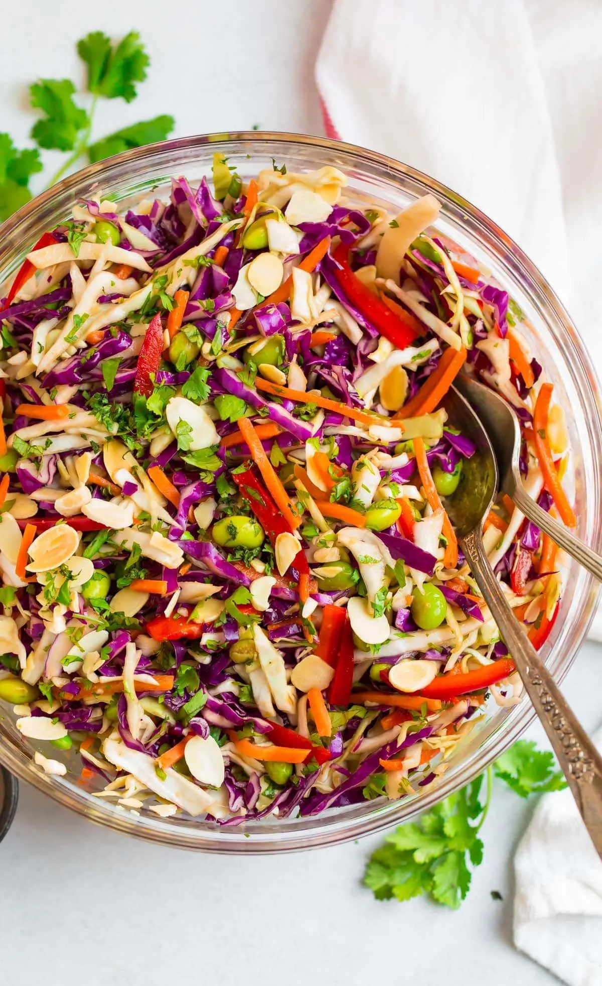 Oriental Cabbage Salad Cole Slaw
