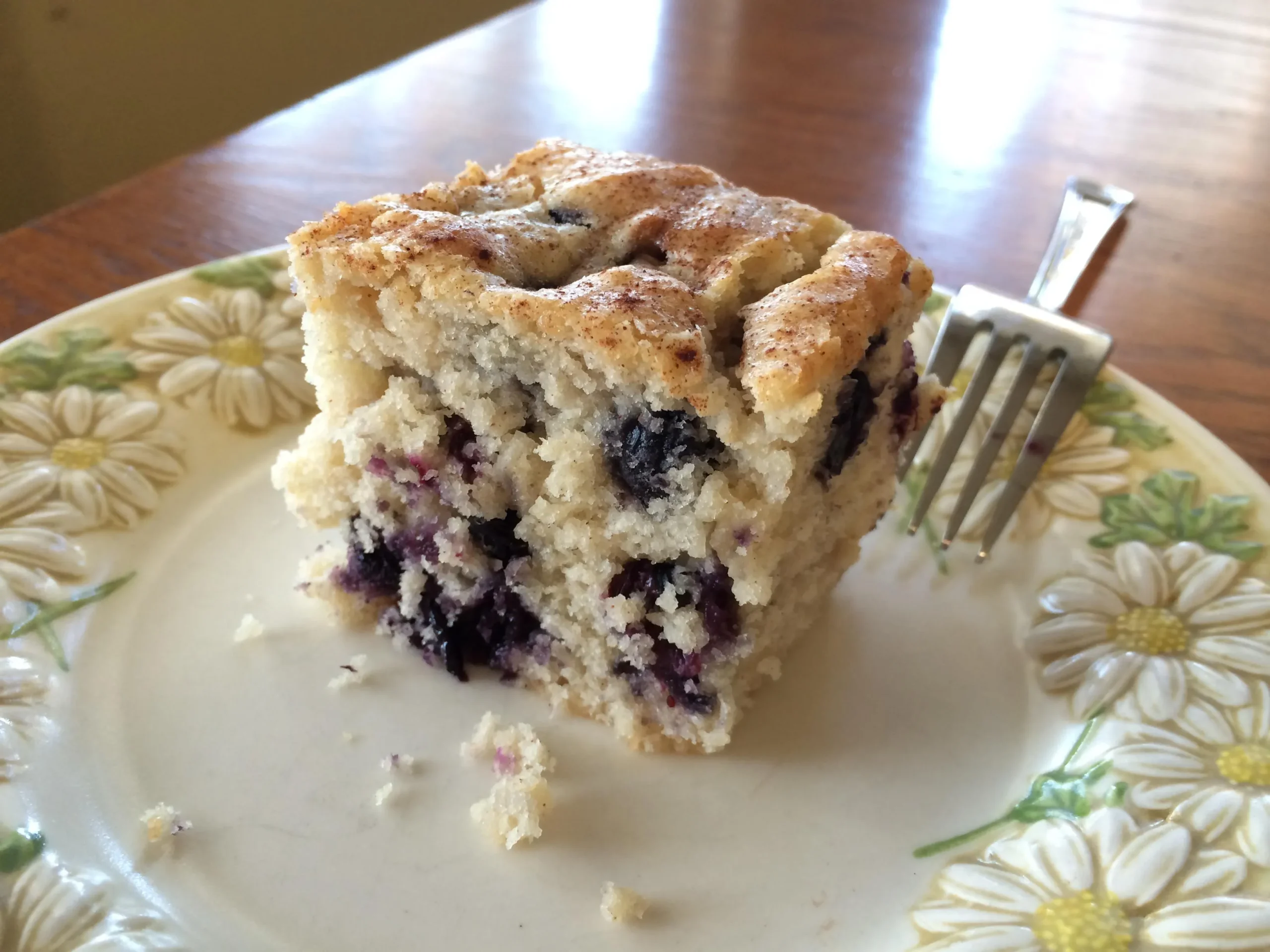 PA Dutch Blueberry Cake