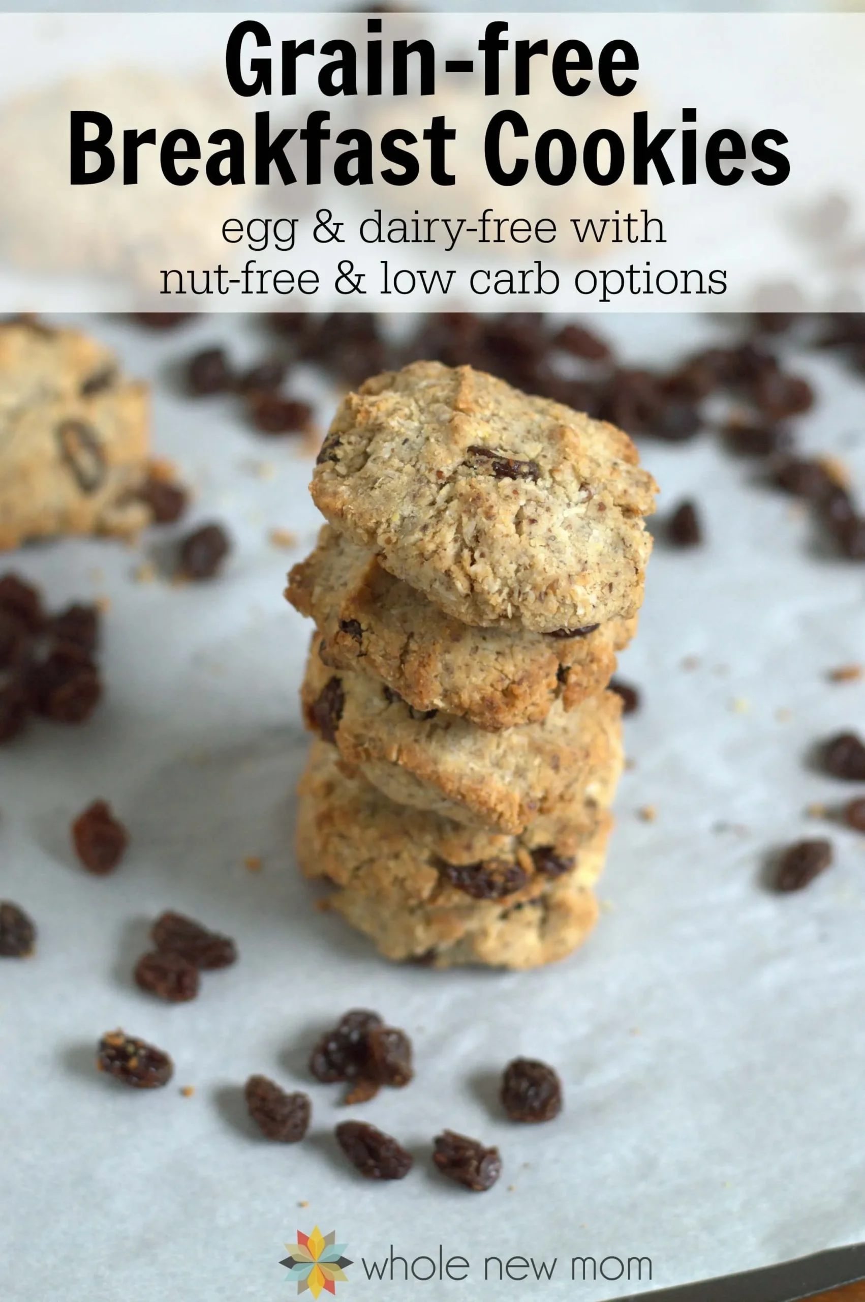 Paleo Breakfast Cookies (Grain Free, Dairy Free)