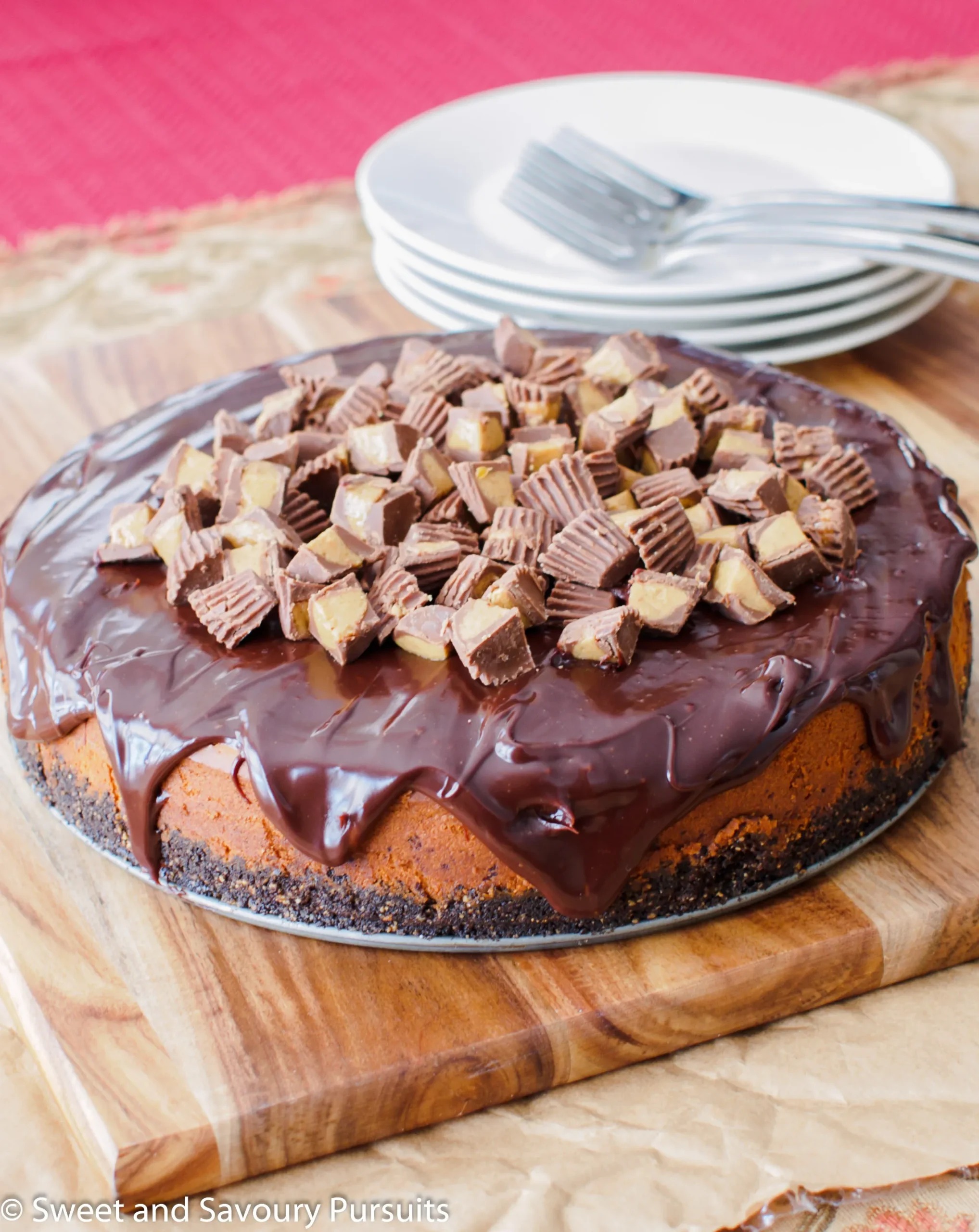 Peanut Butter Cheesecake Chocolate