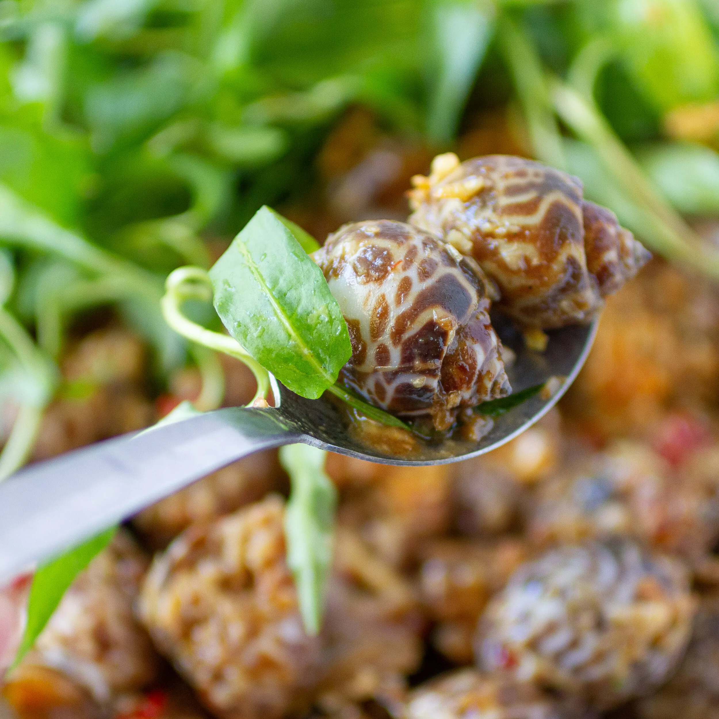 Periwinkle Sea Snails Tamarind Sauce