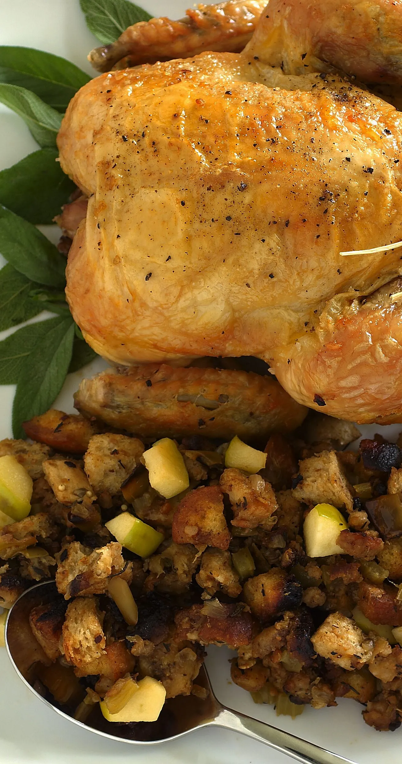 Pheasant Stuffed with Italian Sausage