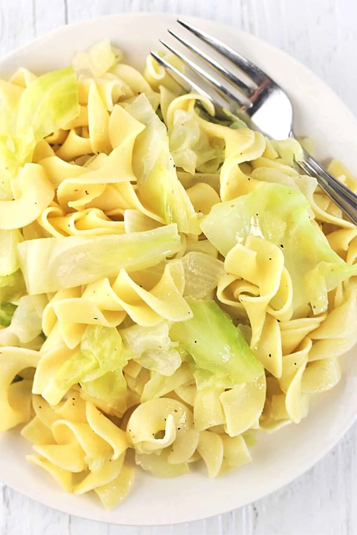 Polish Cabbage and Noodles