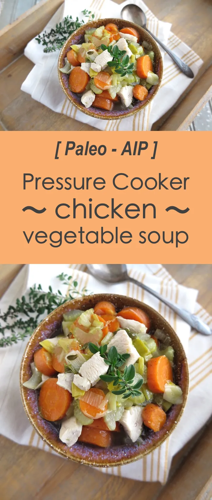 Pressure Cooker Chicken Vegetable Soup