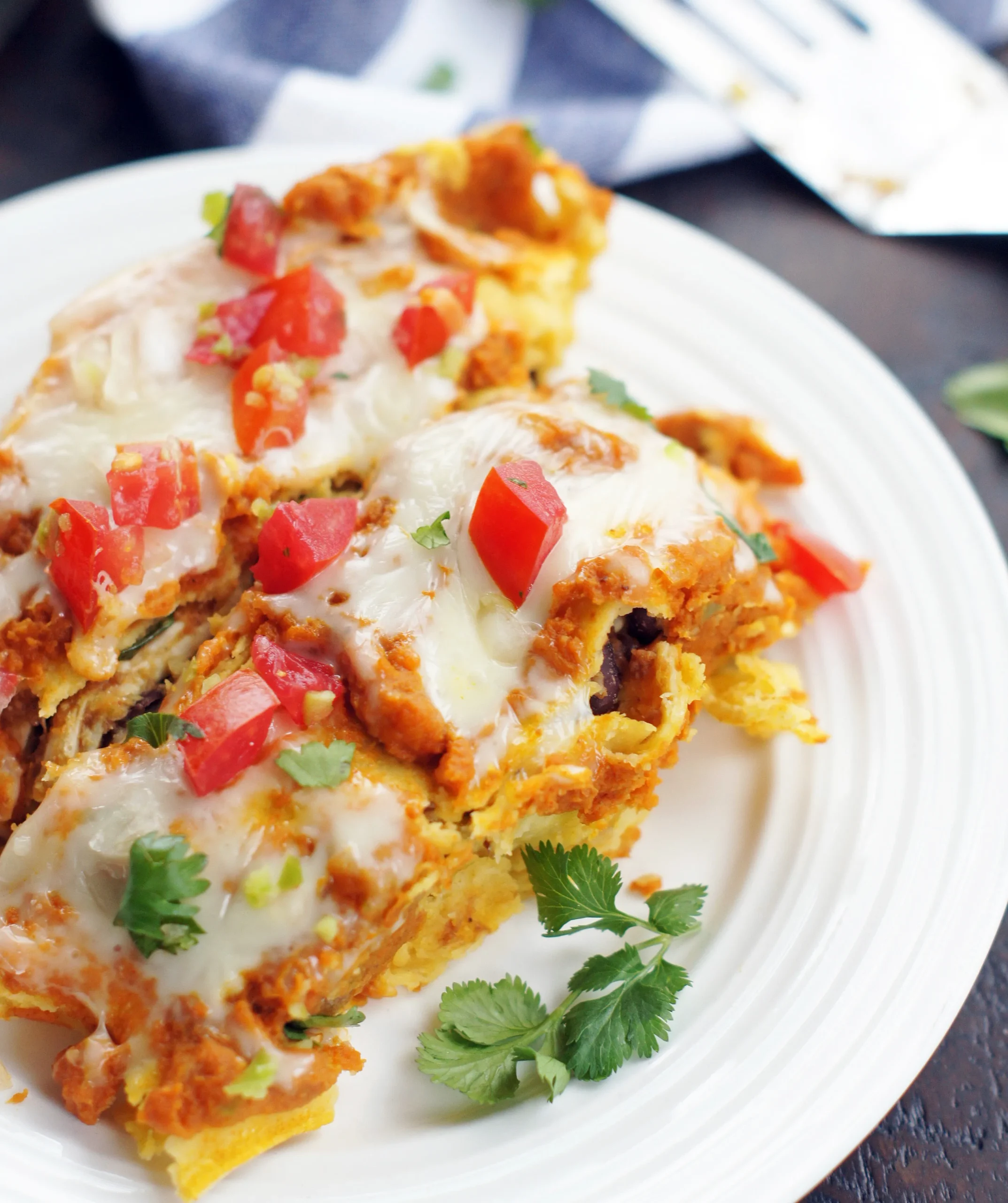Pumpkin Bean and Chicken Enchiladas