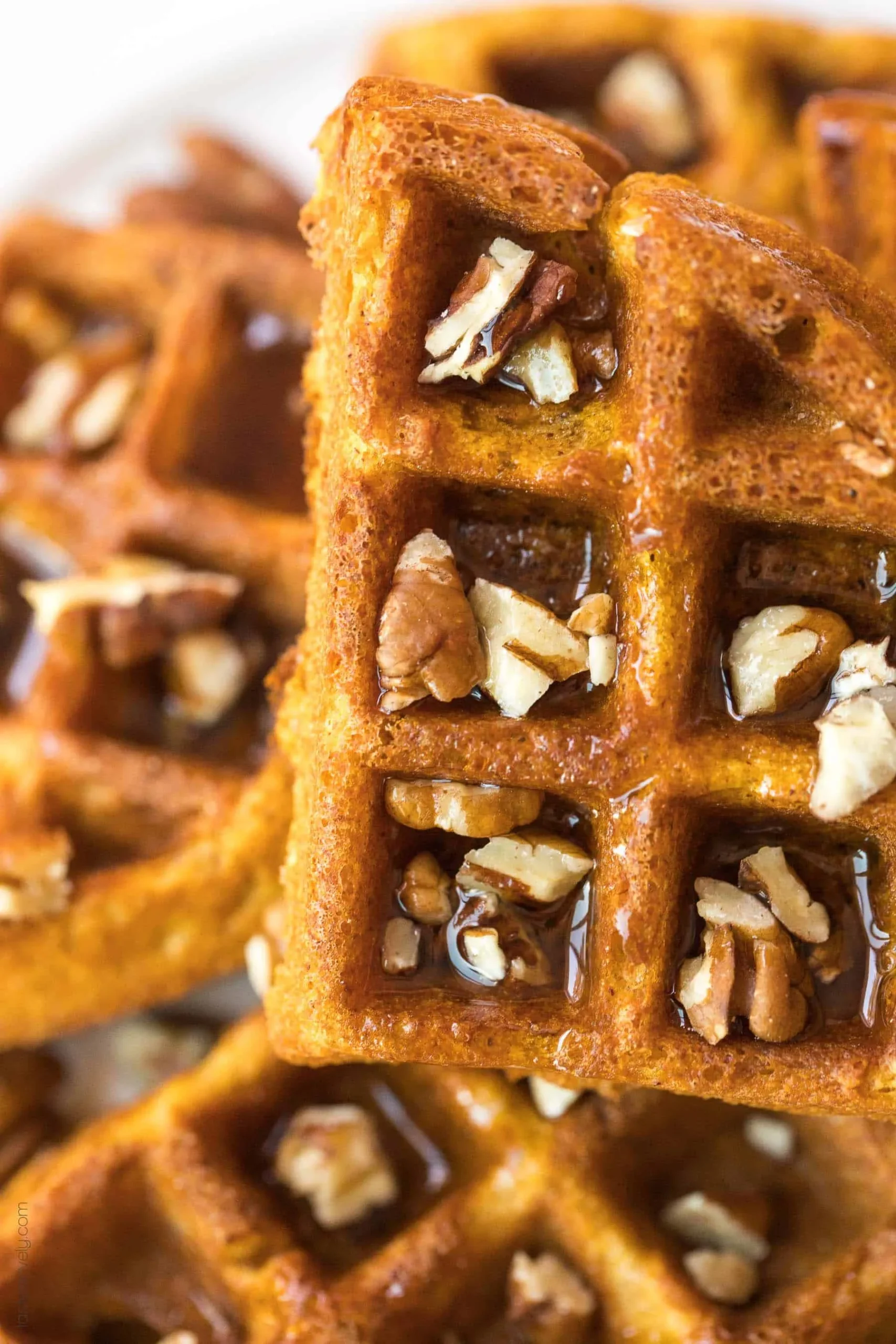 Pumpkin Waffles with Vanilla Pecan Maple Syrup
