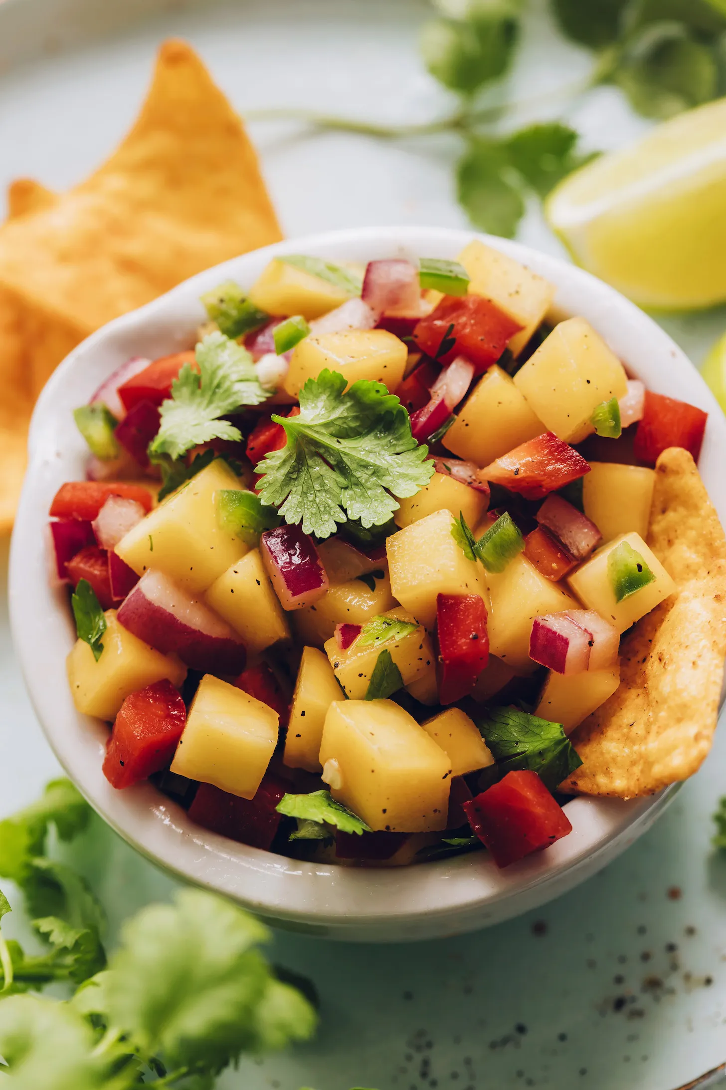Quick Easy Fresh Mango Salsa