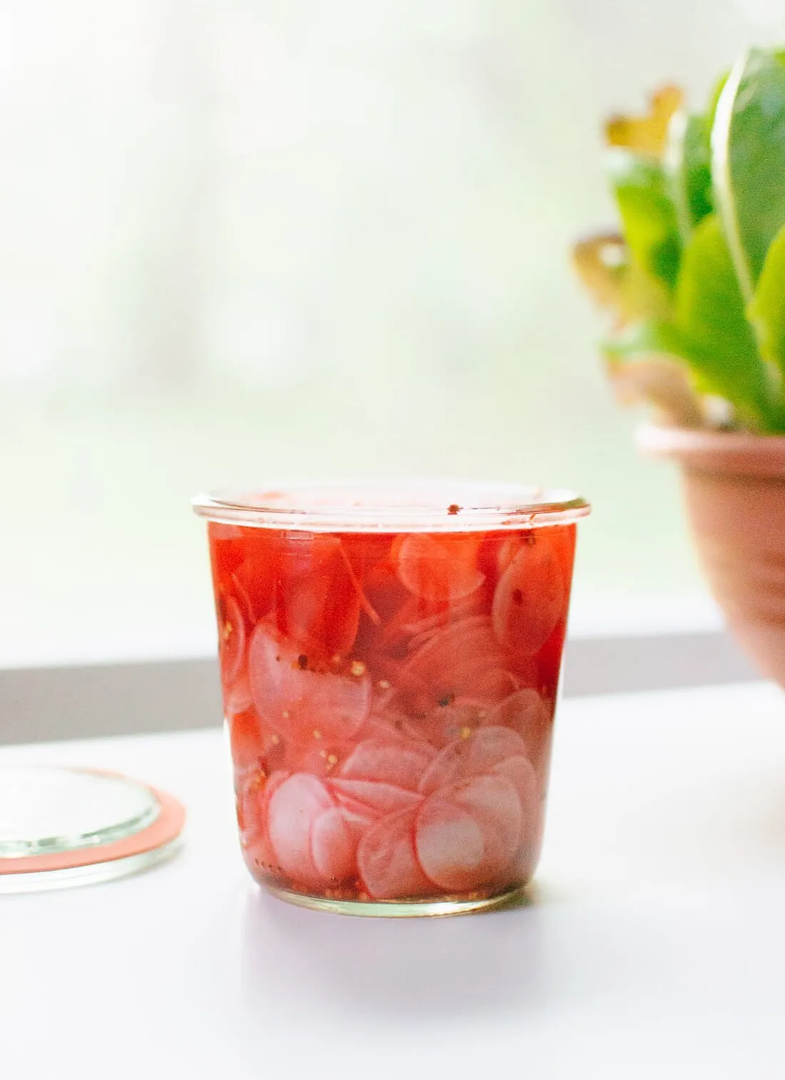 Quick Pickled Spicy Radishes