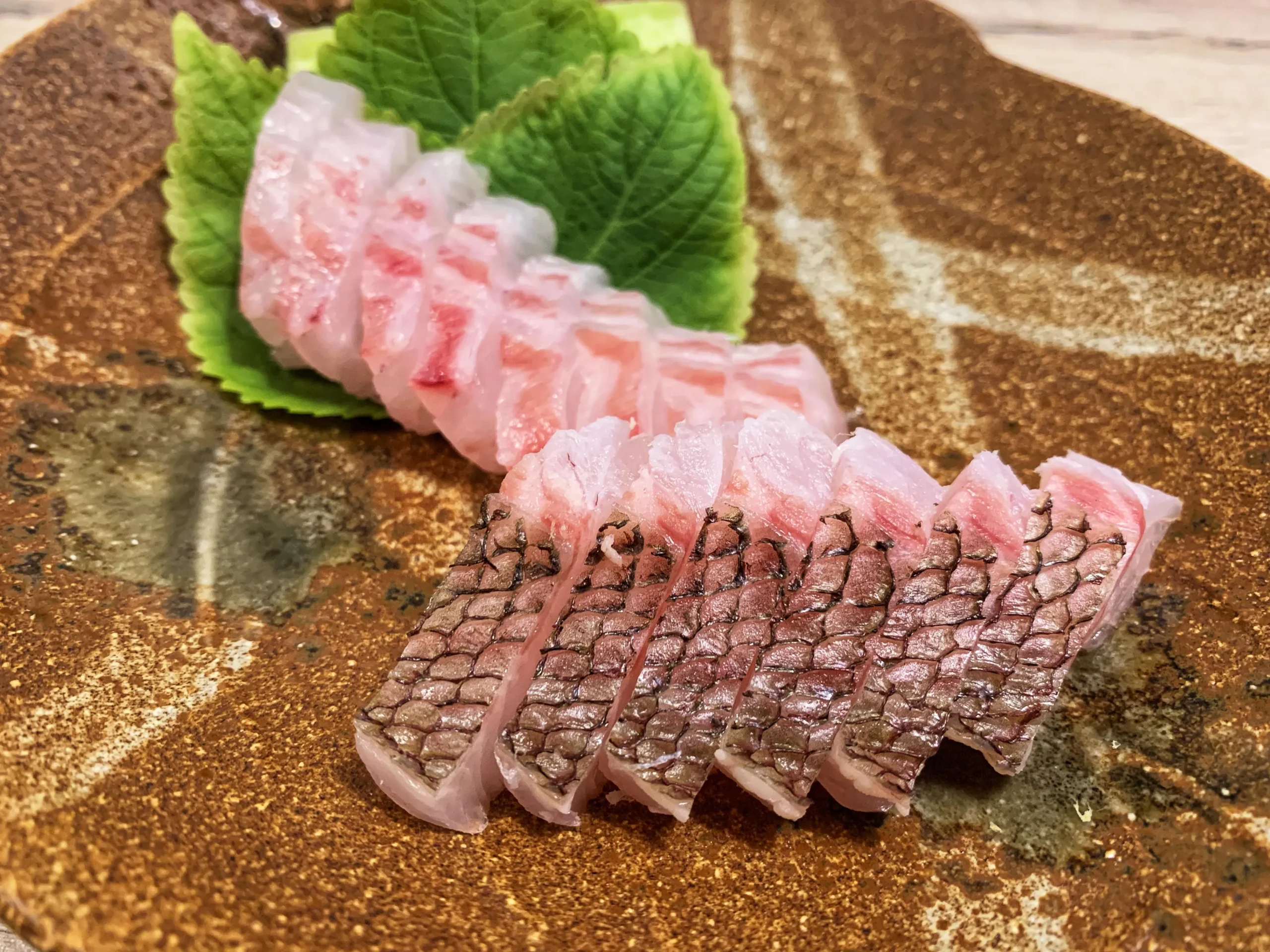 Red Sea Bream Sashimi