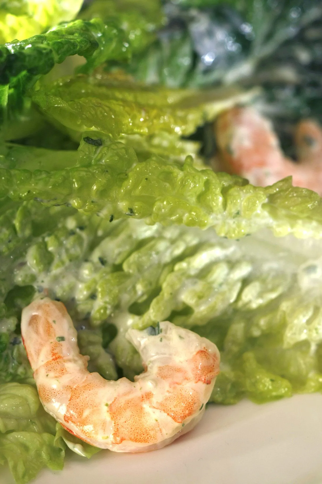 Romaine Watercress Salad with Shrimp