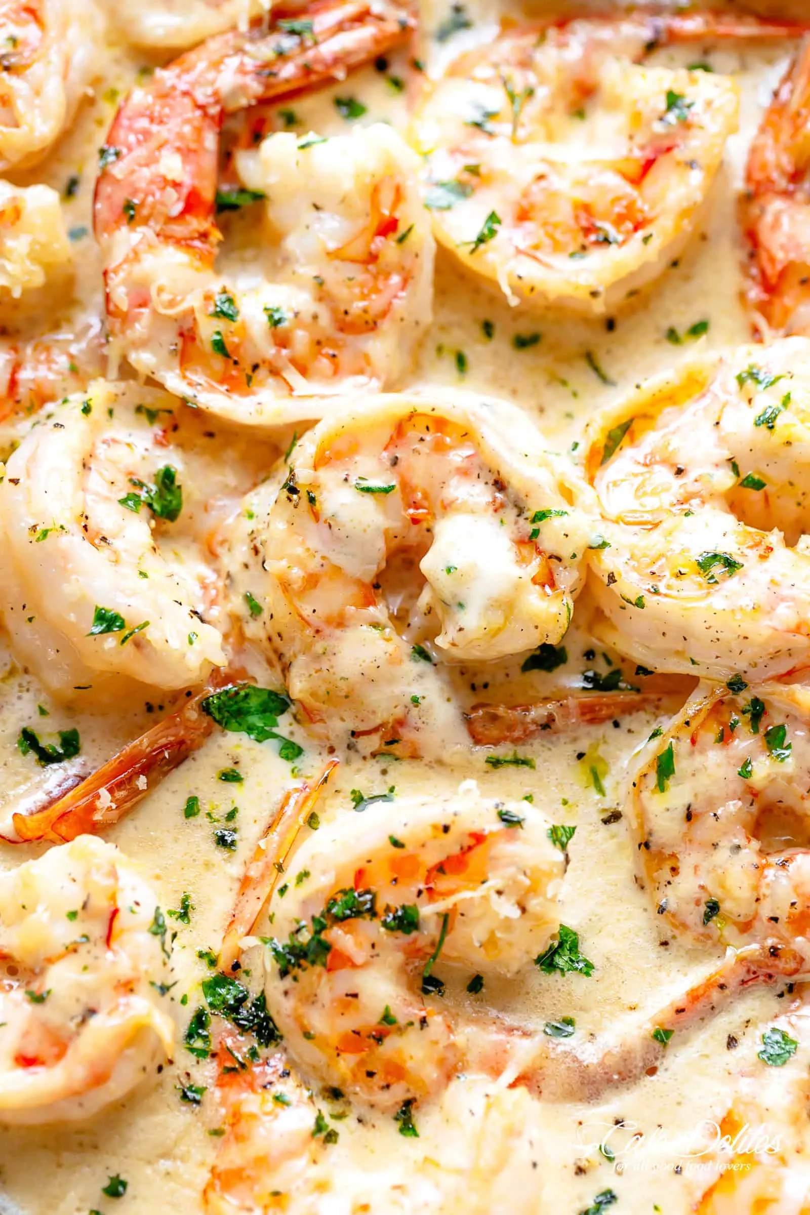 Shrimp with Creamy Garlic Sauce