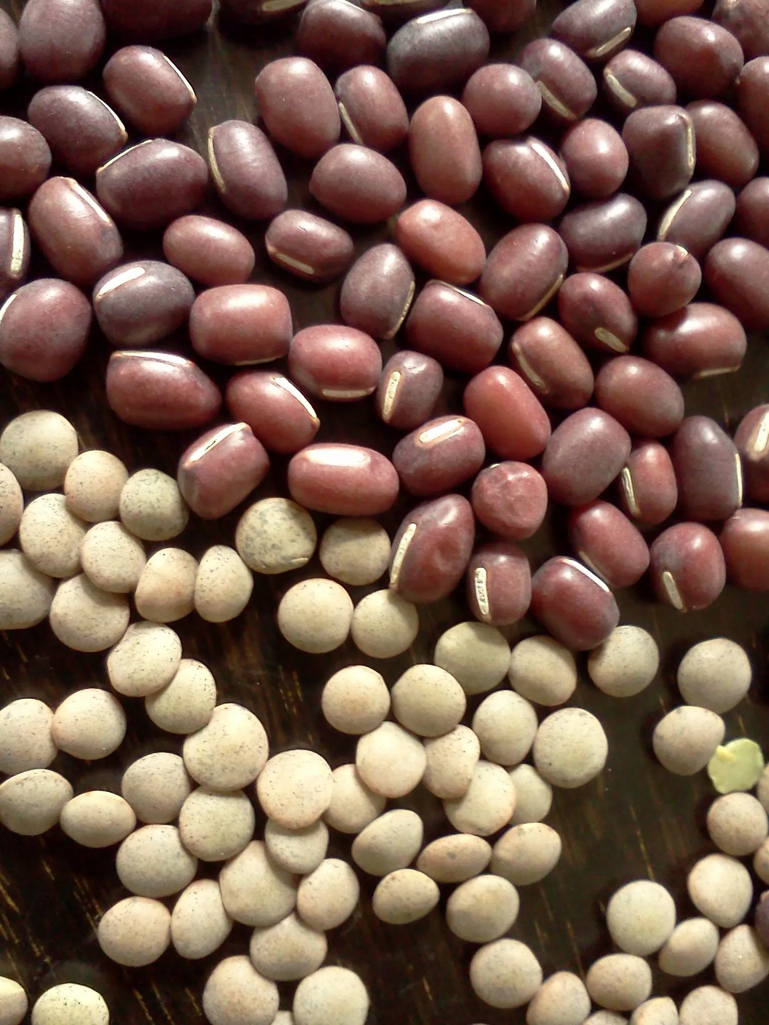 Simmered Dry Beans