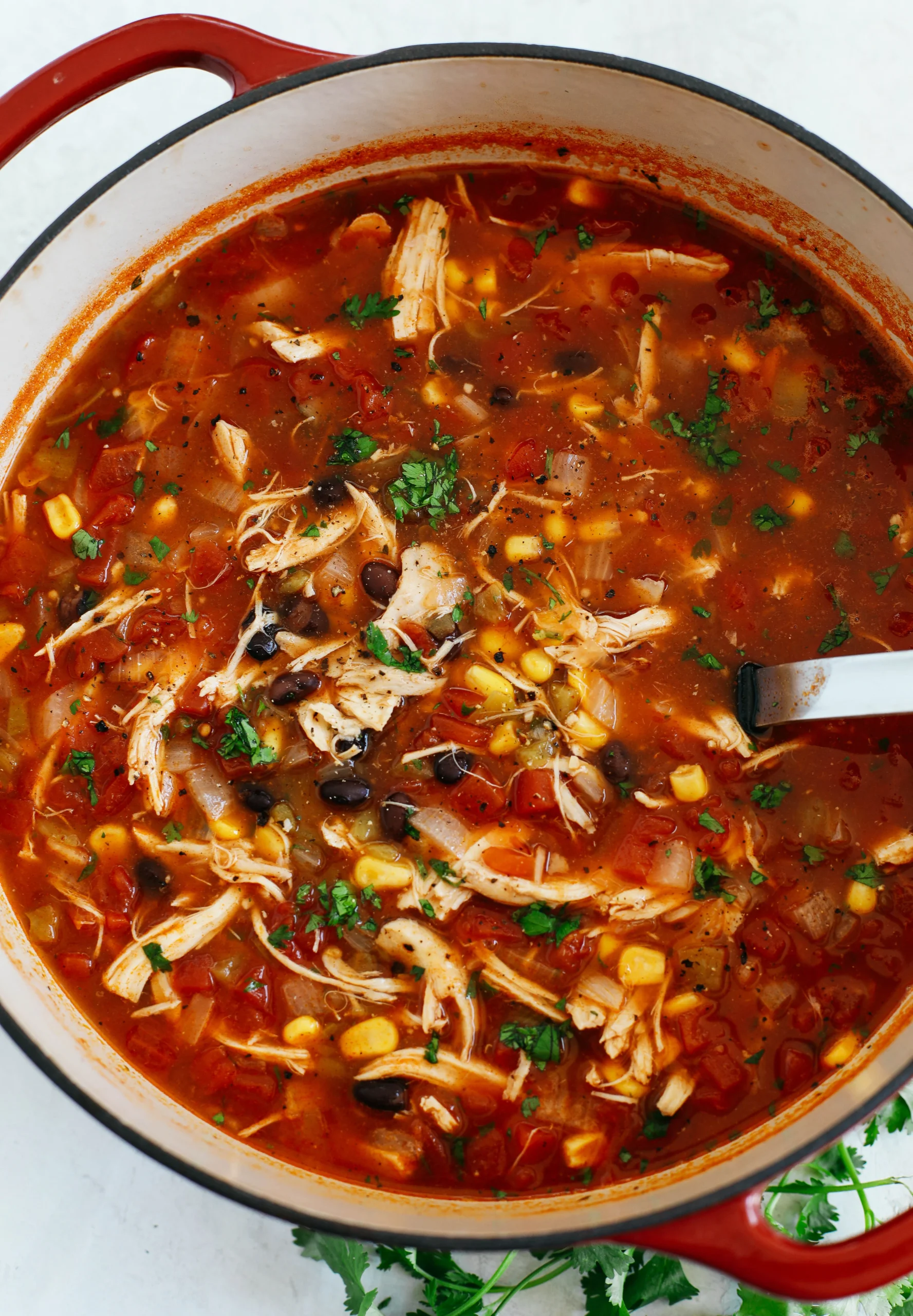 Simple Chicken Tortilla Soup