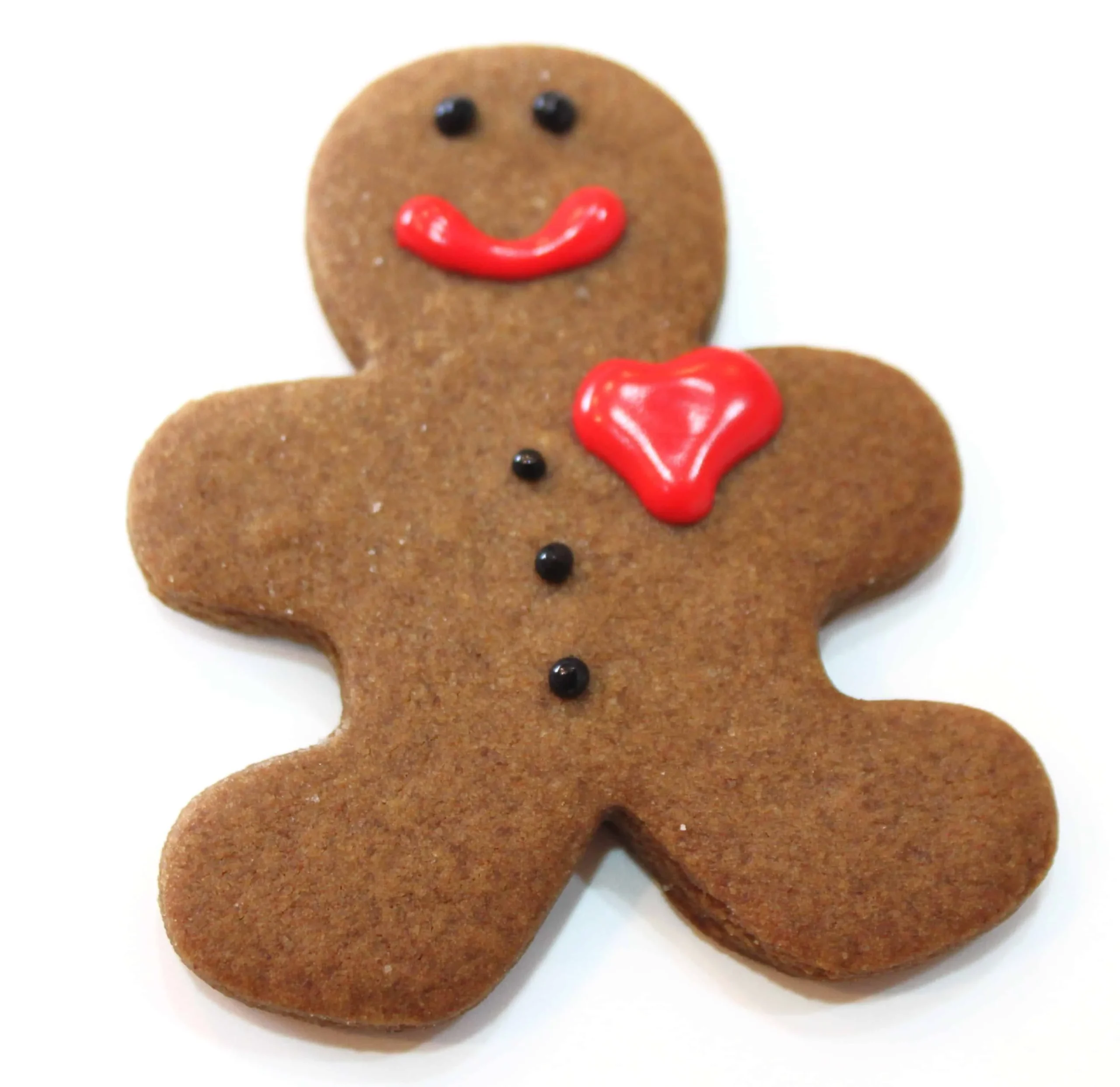 Simple Decorated Gingerbread Cookies