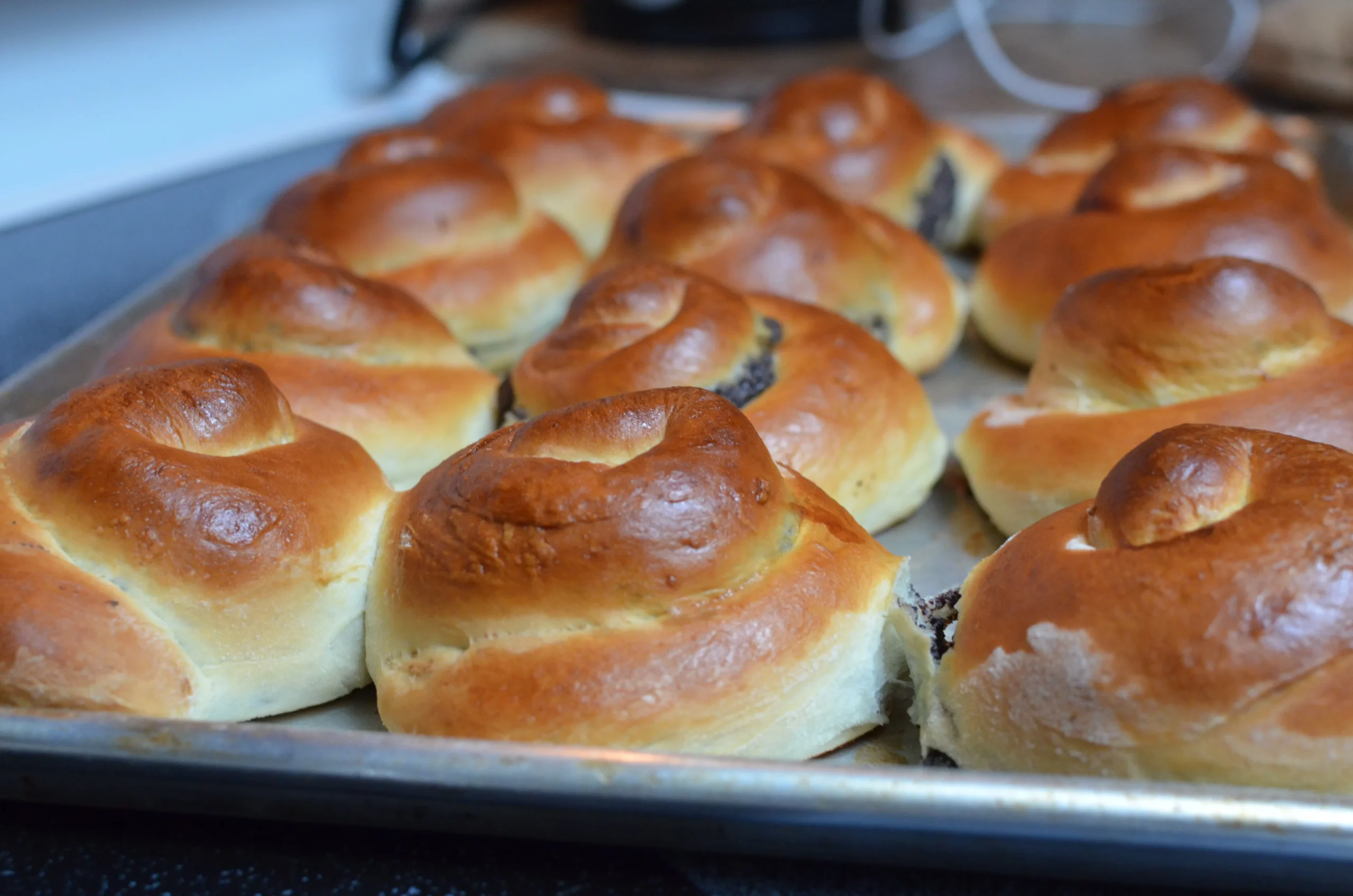 Simple Poppy Seed Buns