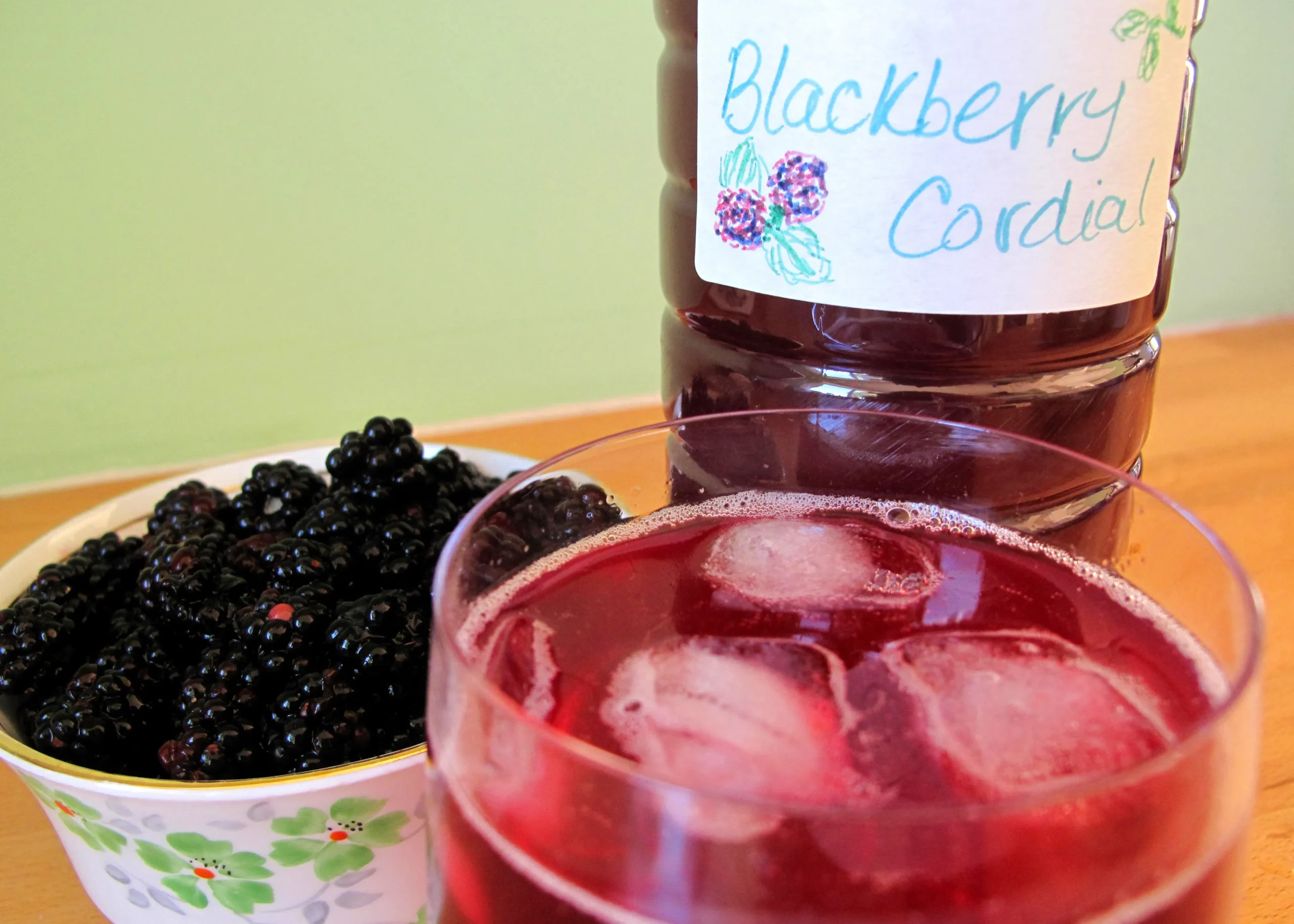 Slow Cooker Blackberry Hibiscus Cordial