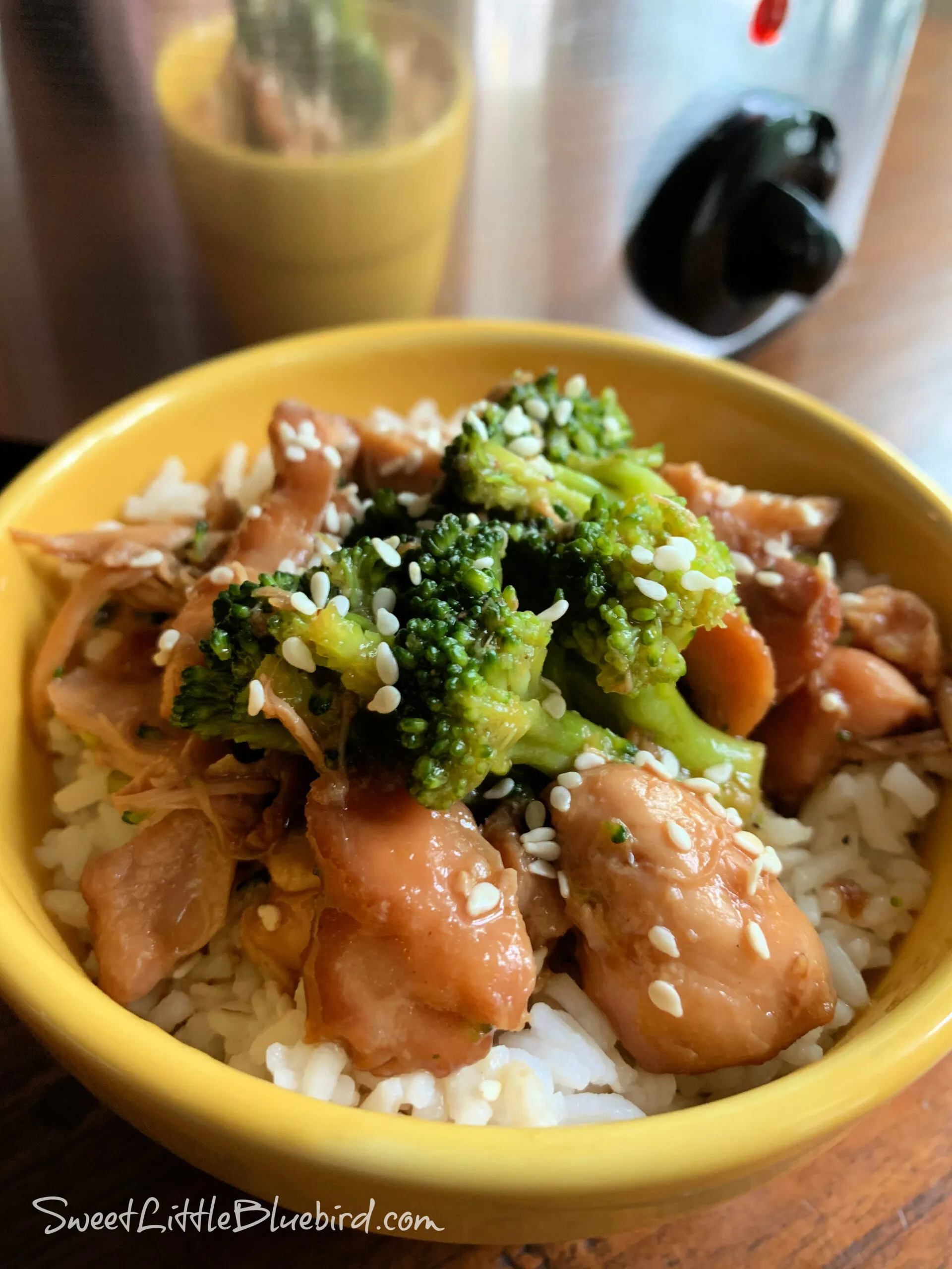 Slow Cooker Chicken Teriyaki with Vegetables