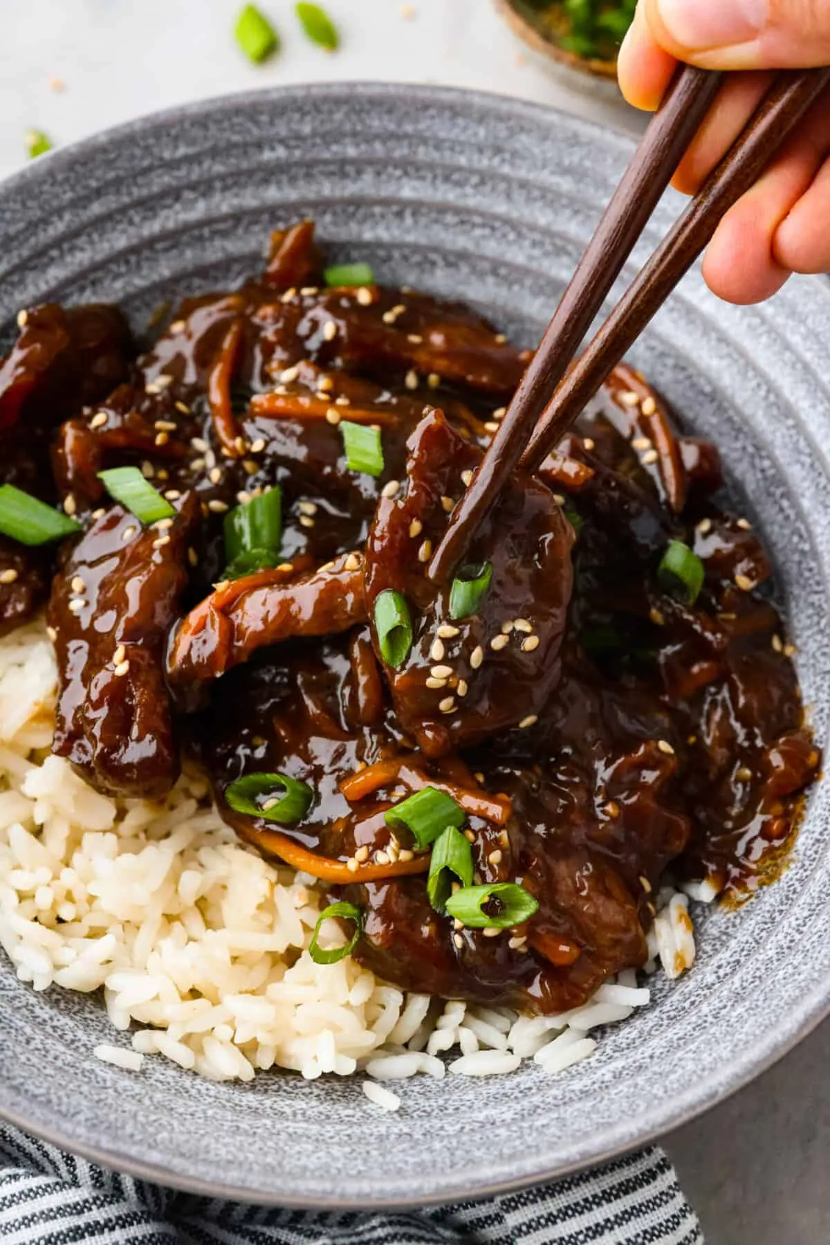 Slow Cooker Mongolian Pork