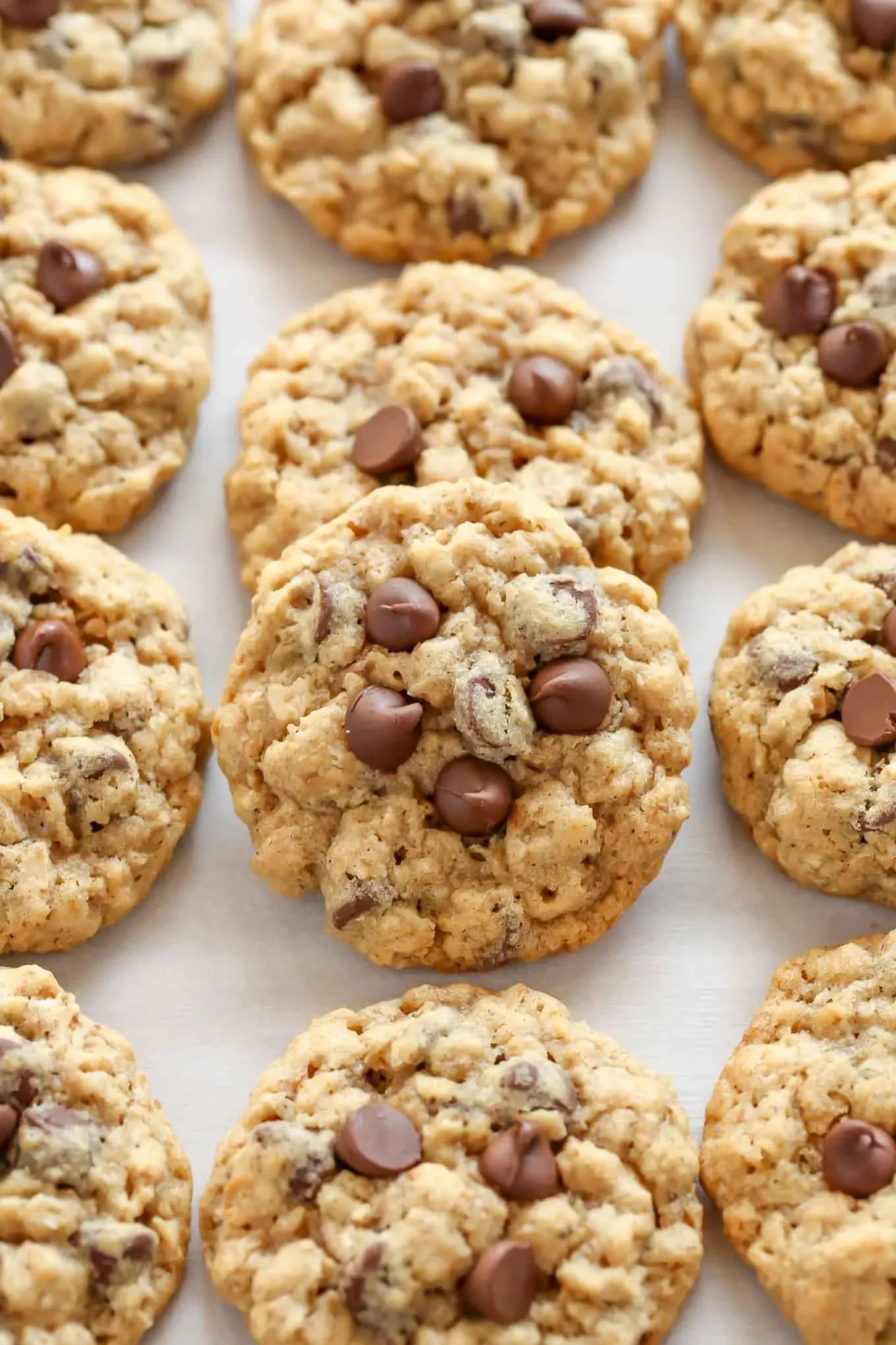 Soft Chewy Oatmeal Chocolate Chip Cookies