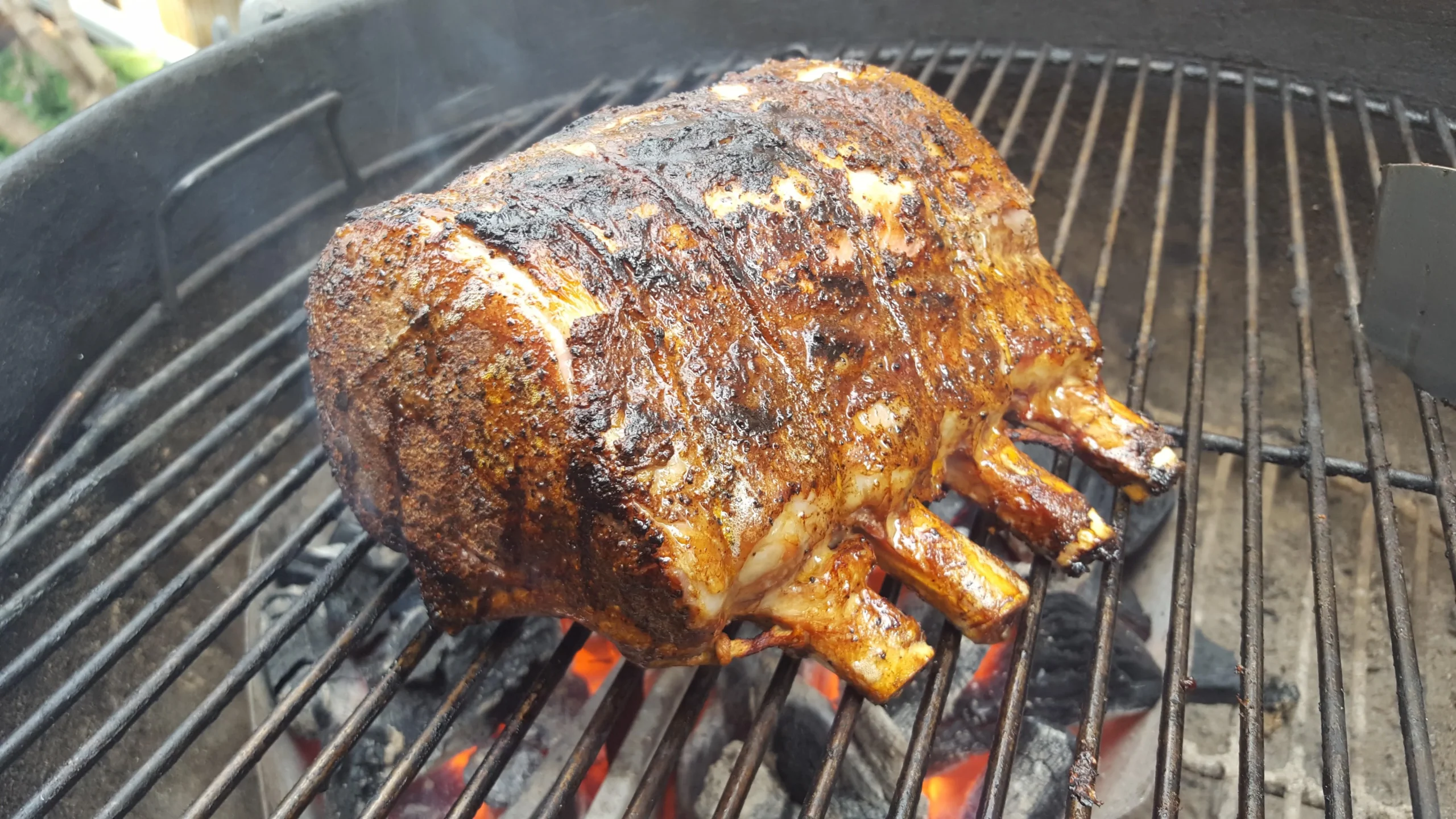 Sous Vide Pork Ribeye Roast