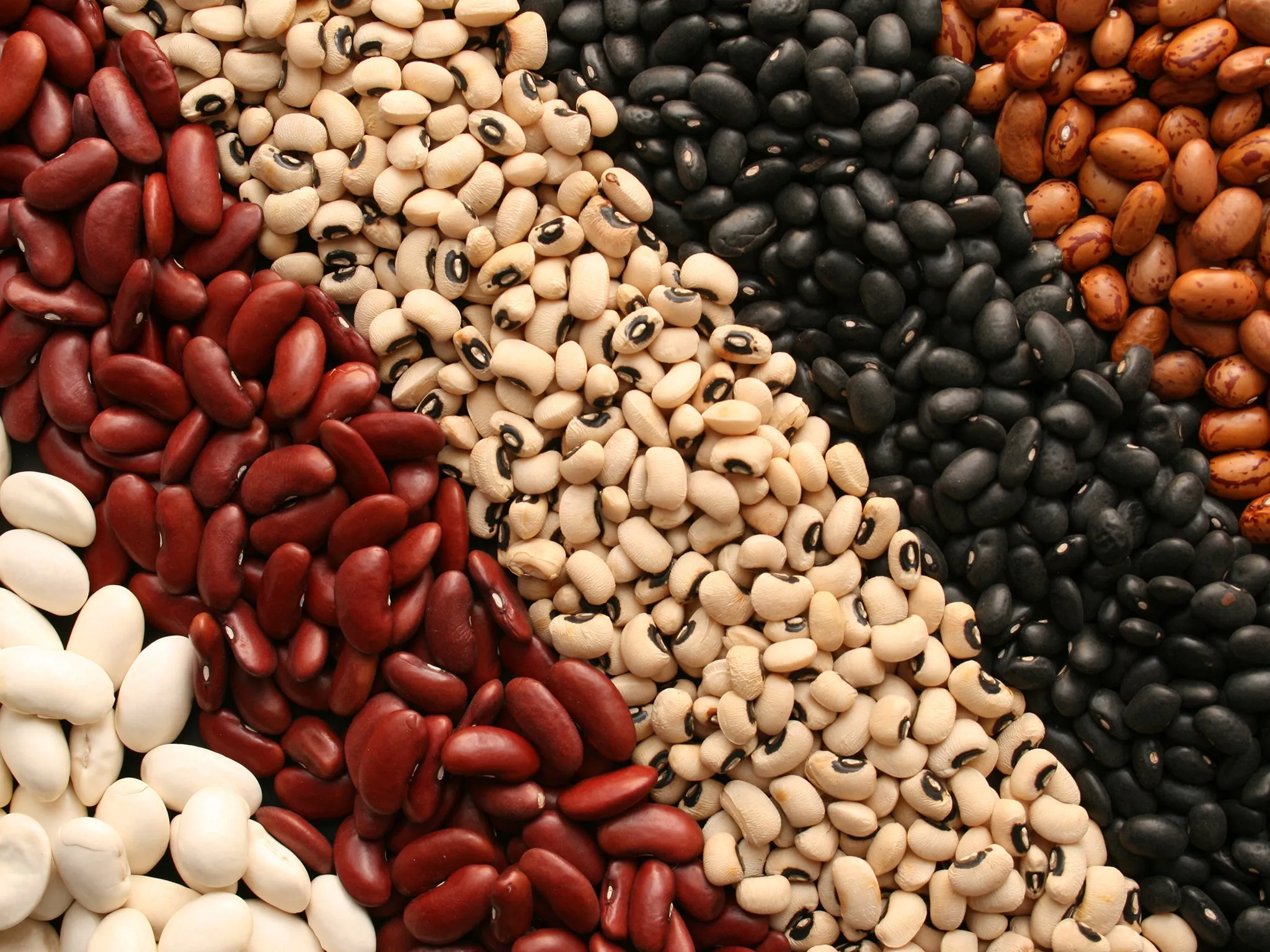 Spanish Style Beans (Dry)