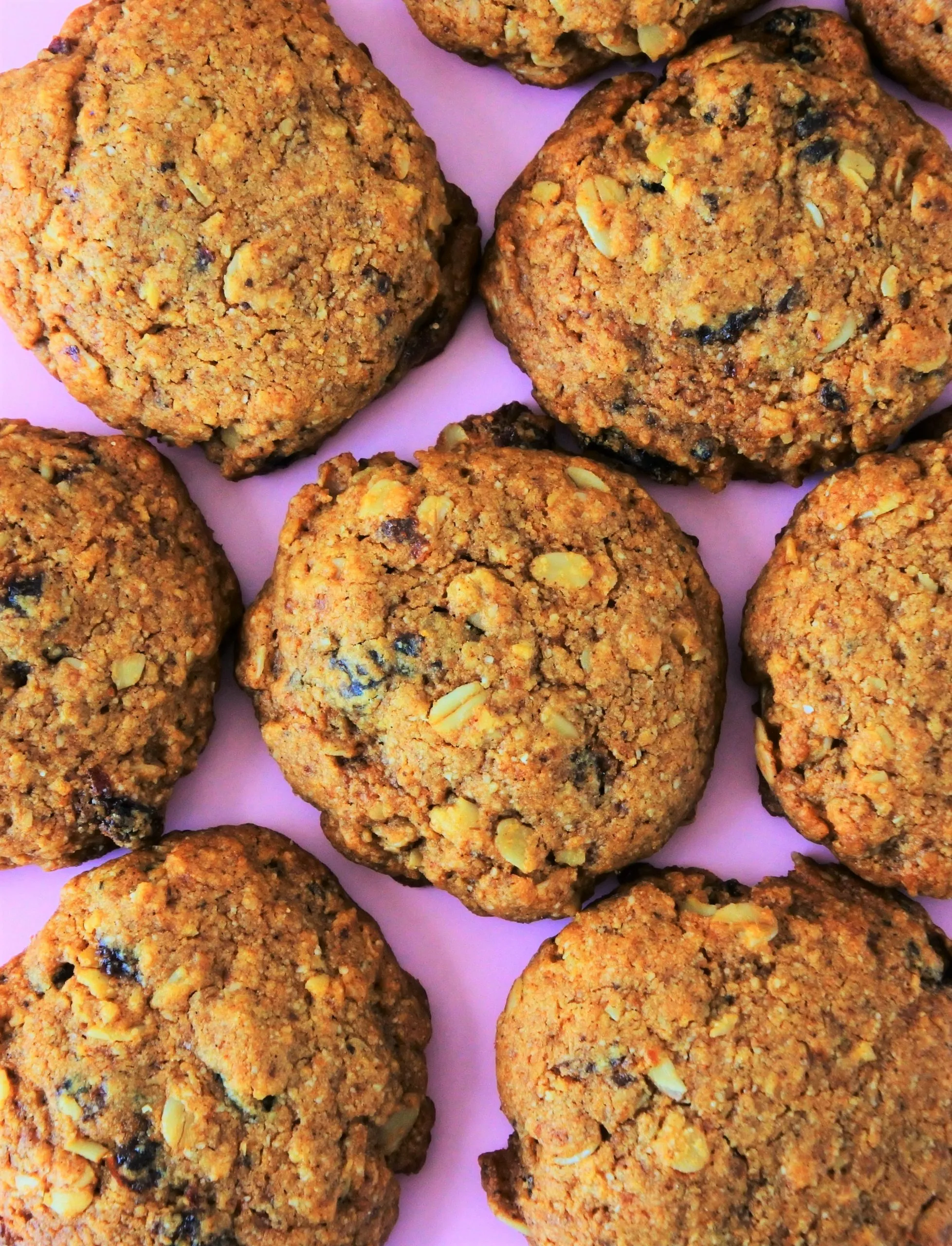 Sugar Free Oatmeal Raisin Cookies