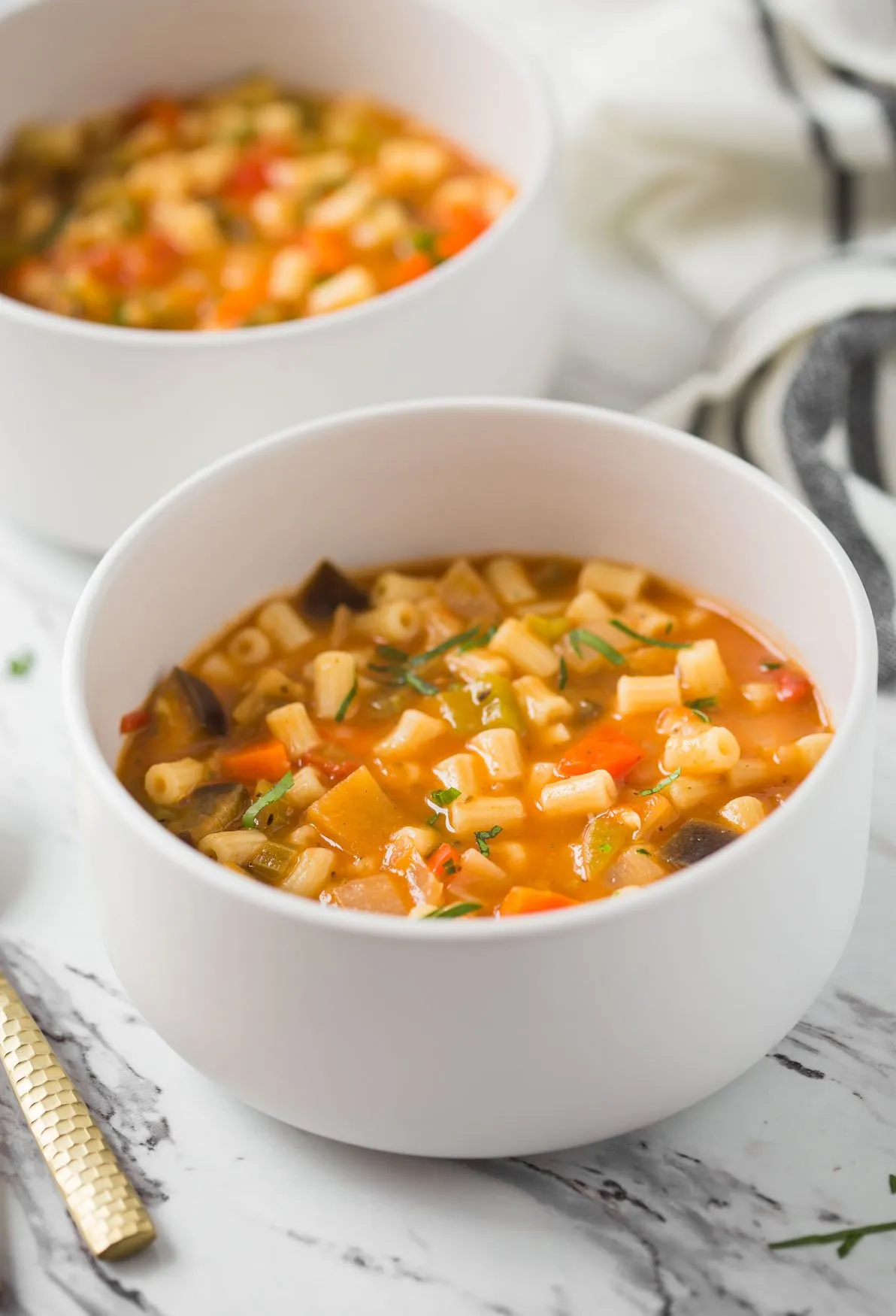 Summer Vegetable Pasta Soup