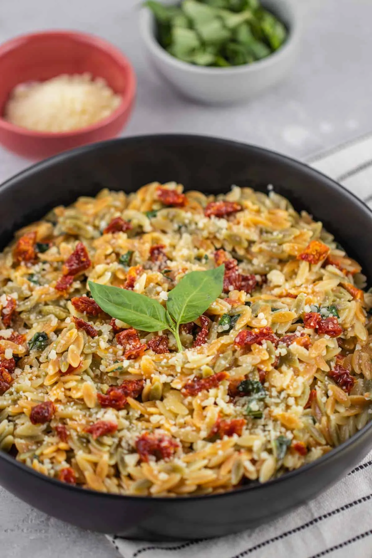 Sun Dried Tomato Basil and Parmesan Orzo with Chicken