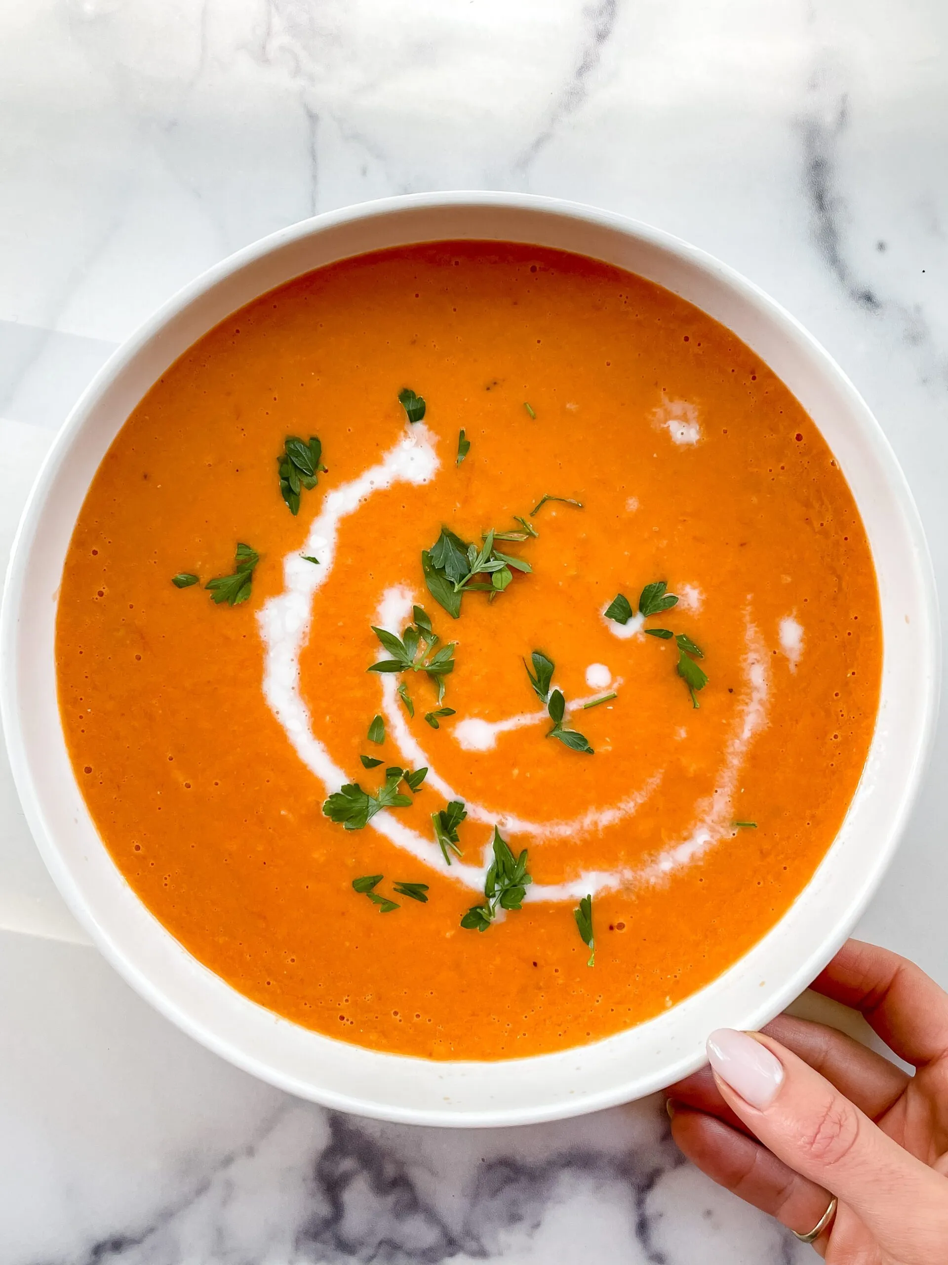 Sweet Tomatoes Creamy Herbed Turkey Soup