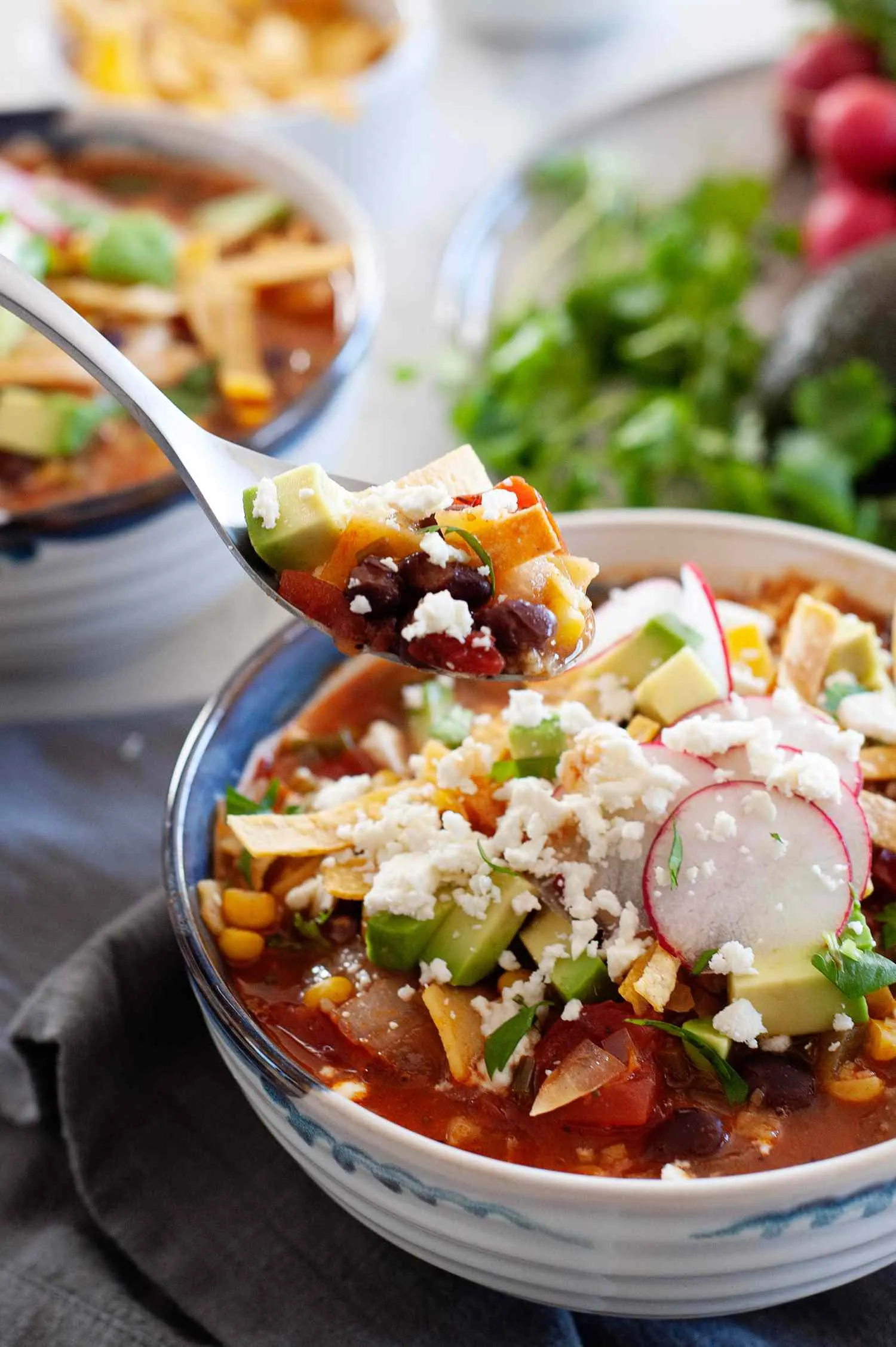 Teris Tortilla Veggie Soup