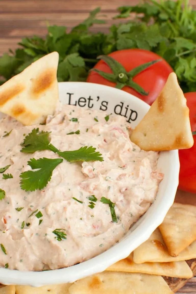 Texas Love Dip My Way