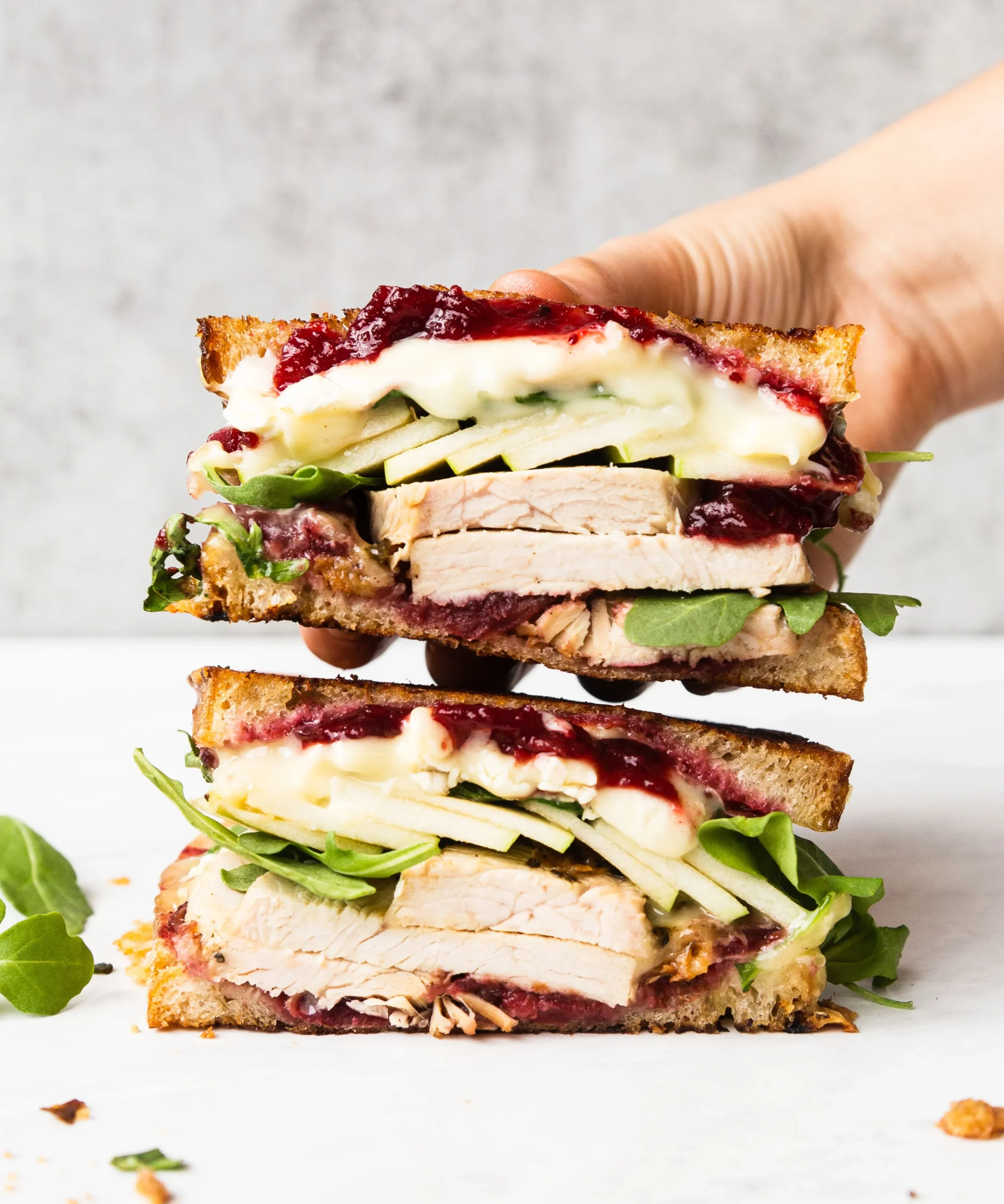 Turkey Panini with Brie and Cranberry