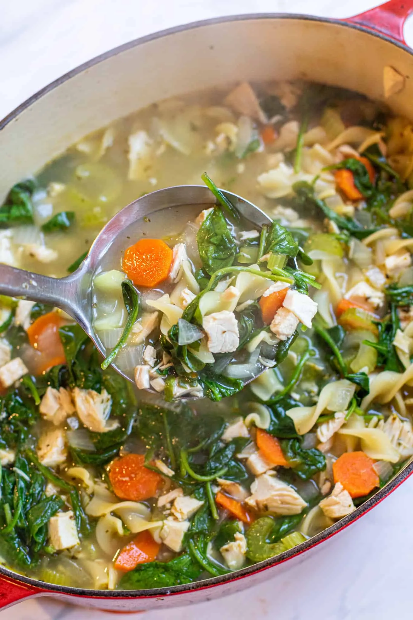 Turkey and Spinach Noodle Soup