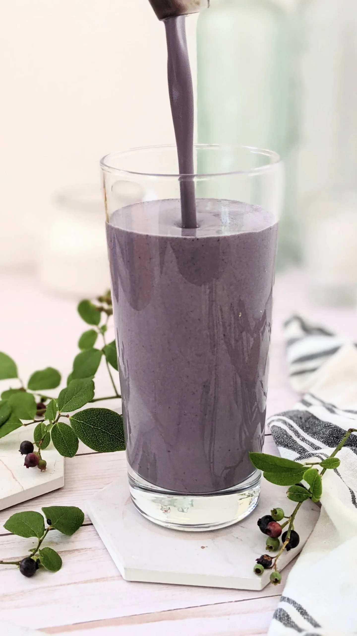 Vegan Chocolate Protein Smoothie