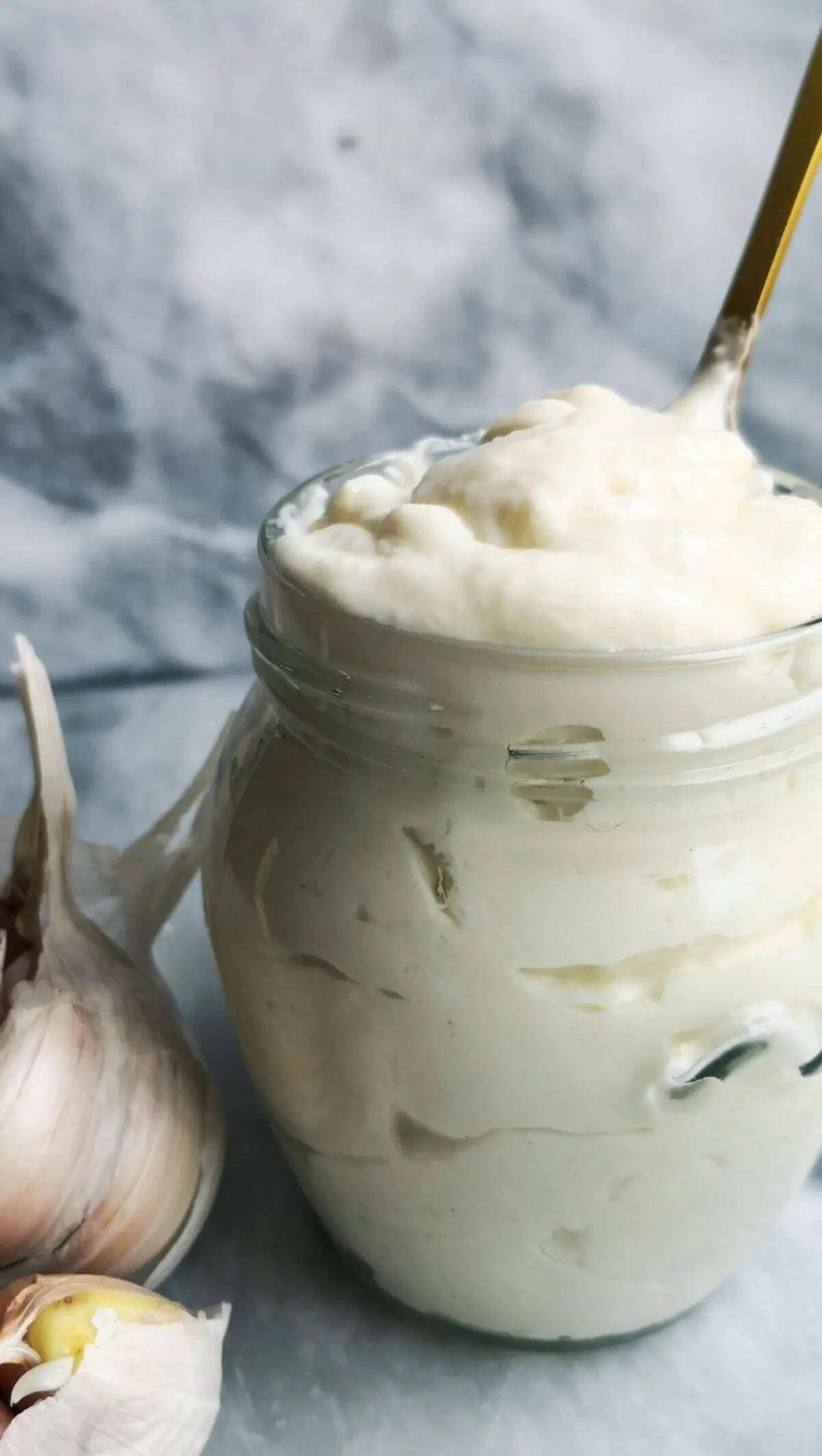 Vegan Garlic Aioli Low Fat Oil Free