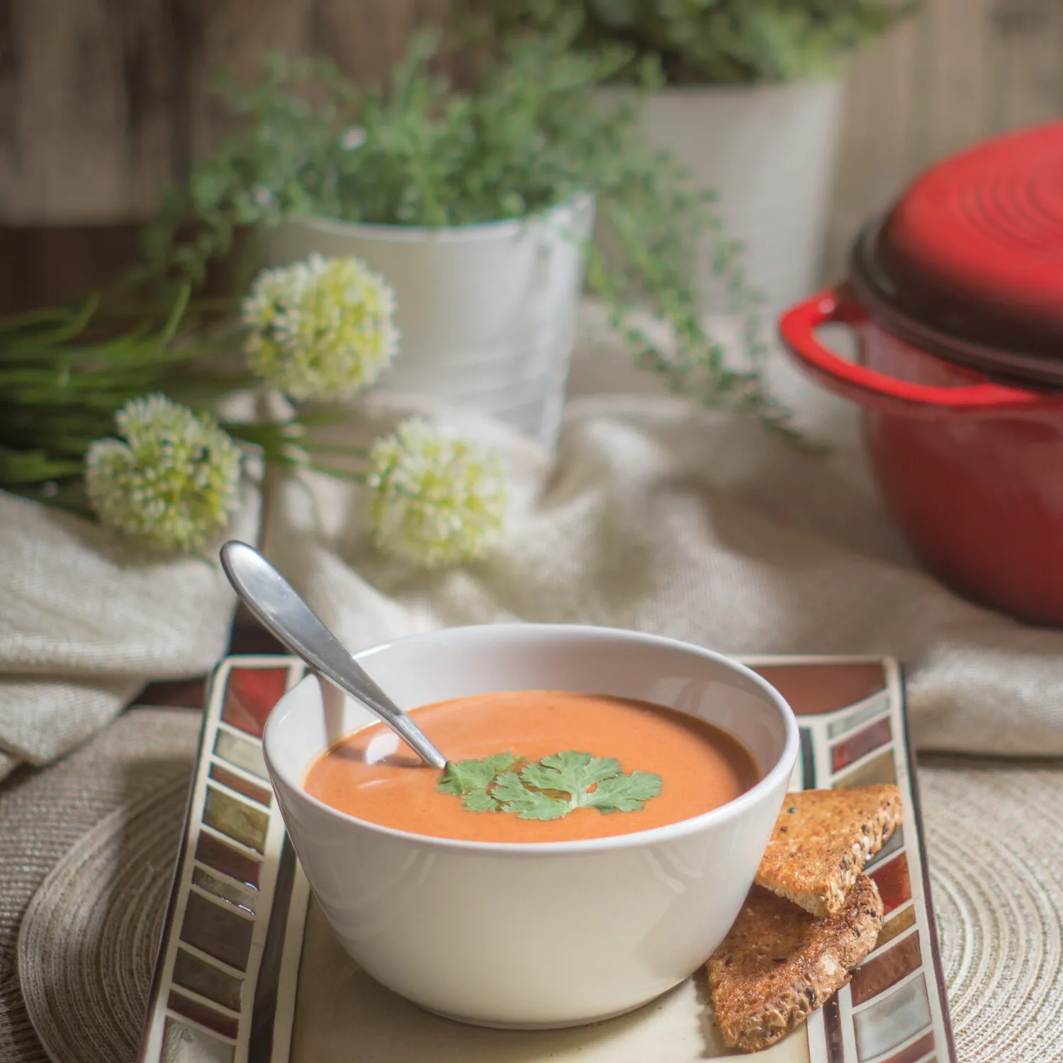 Vegan Thai Tomato Soup