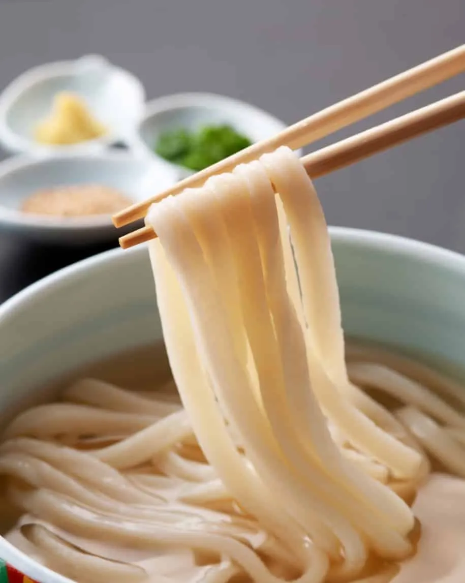 Veggie Udon Noodles Sweet Ginger Sesame Sauce