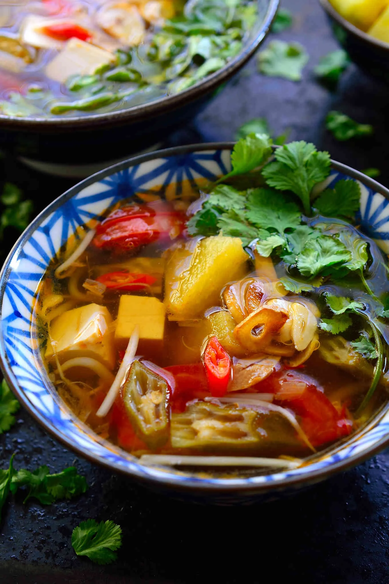 Vietnamese Hot and Sour Tamarind Soup
