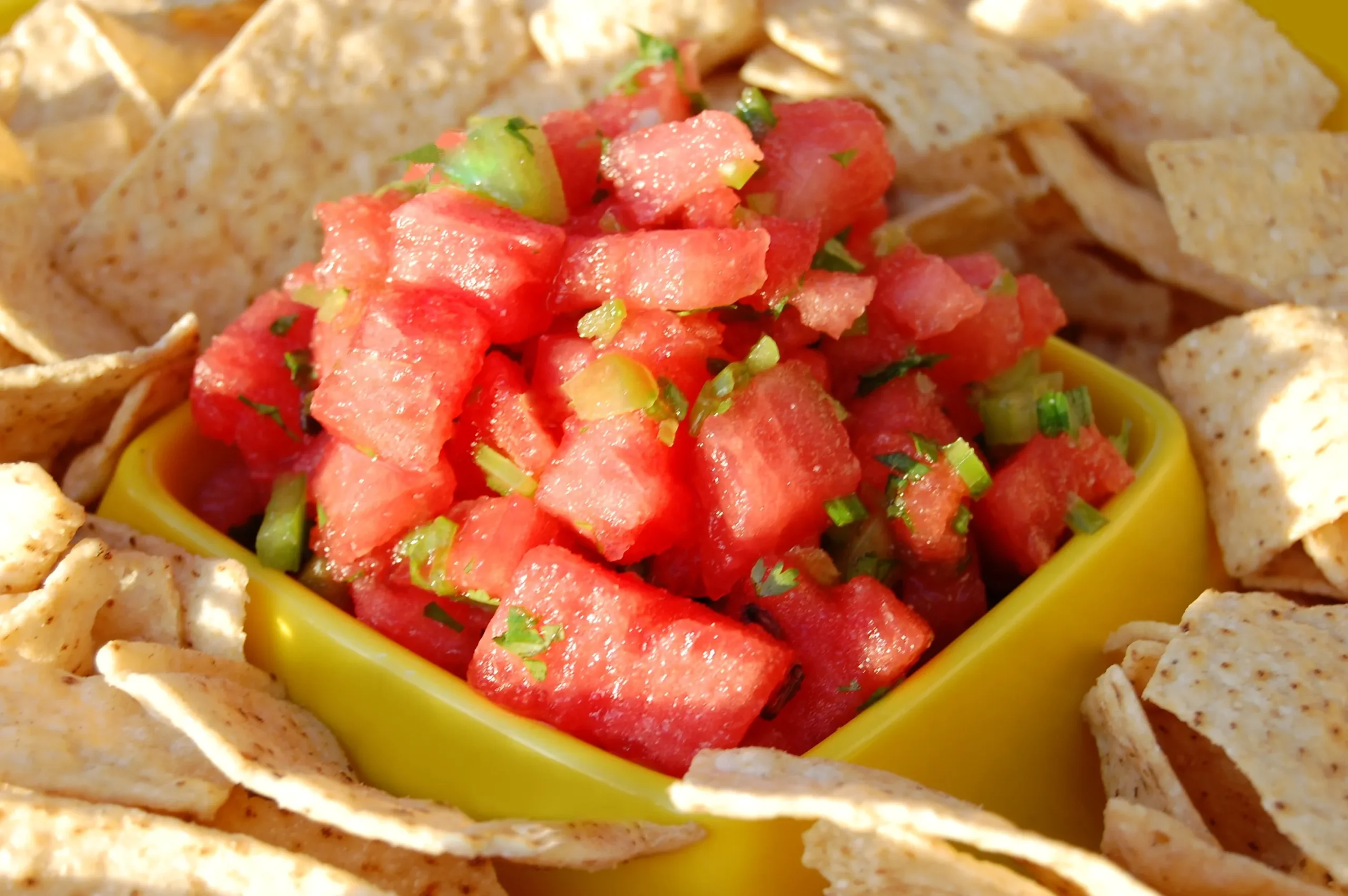 Watermelon Fire and Ice Salsa