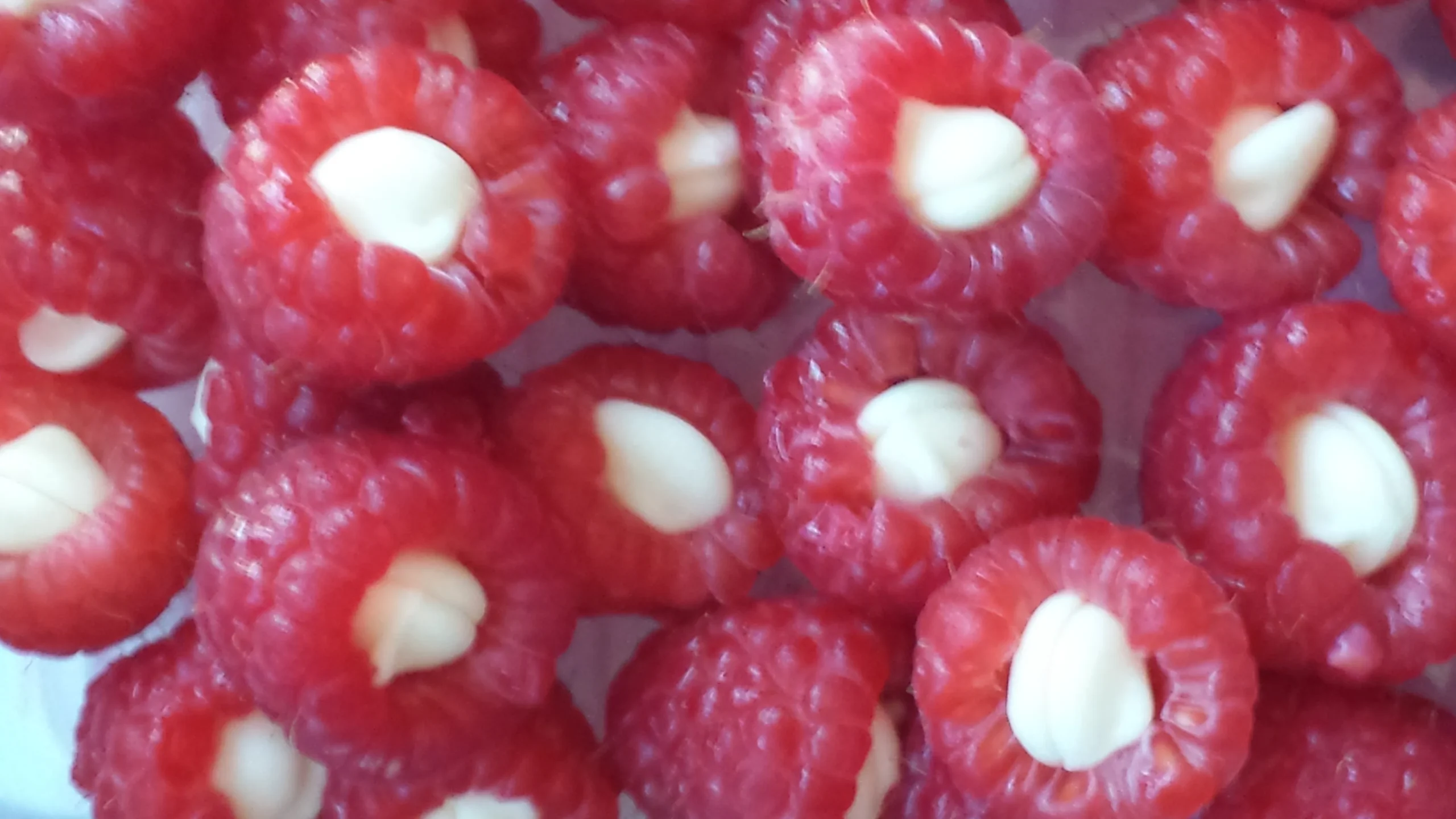 White Chocolate Stuffed Raspberries