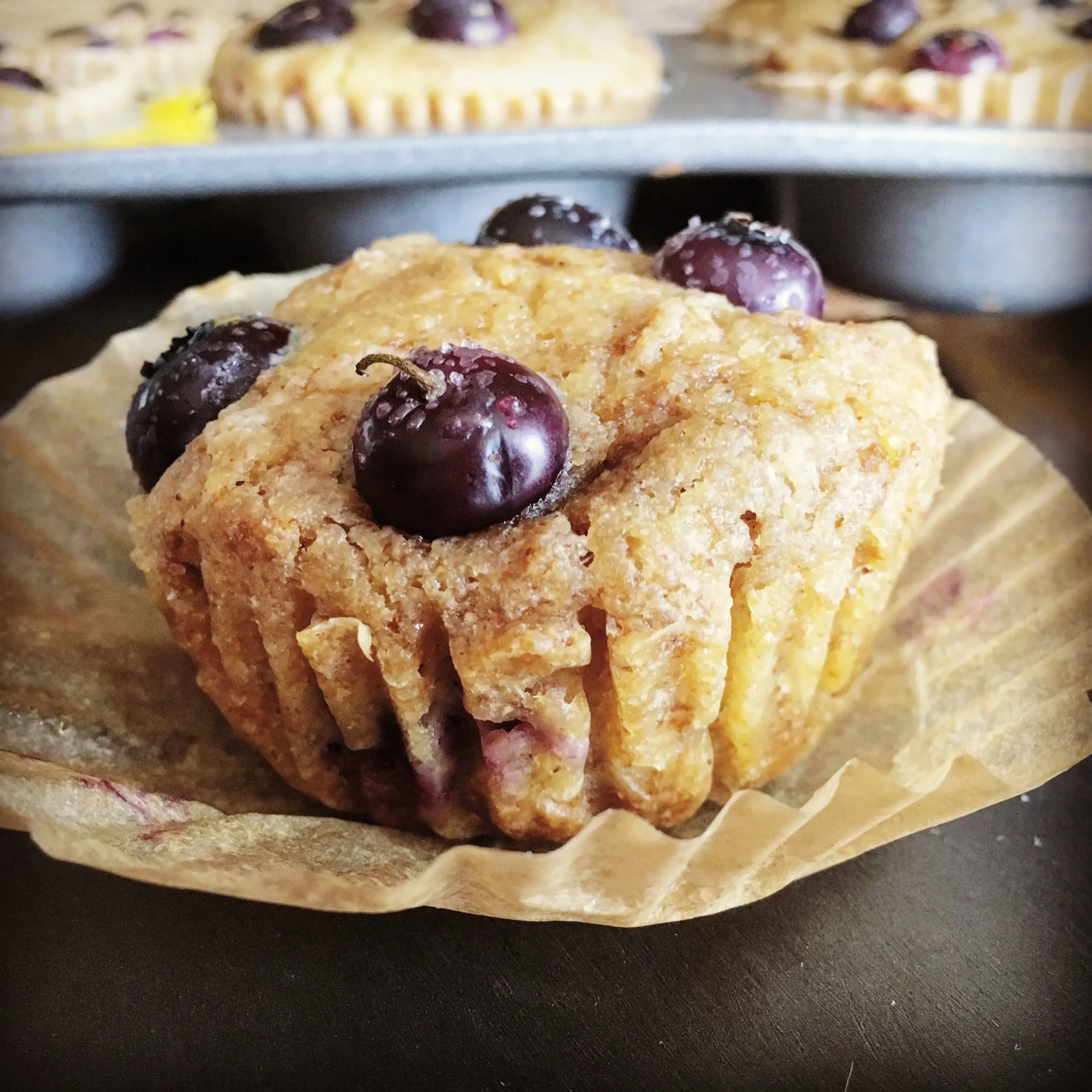 Yogurt Blueberry Bran Muffins