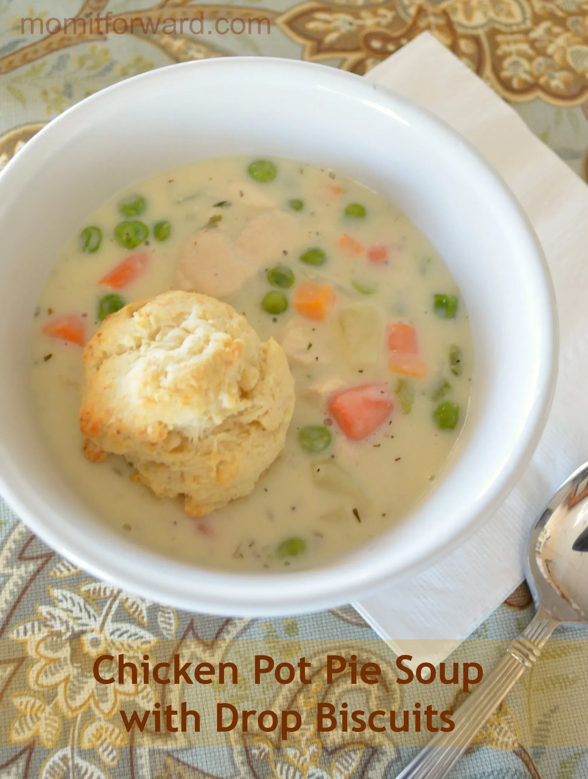 chicken pot pie soup parmesan drop biscuits