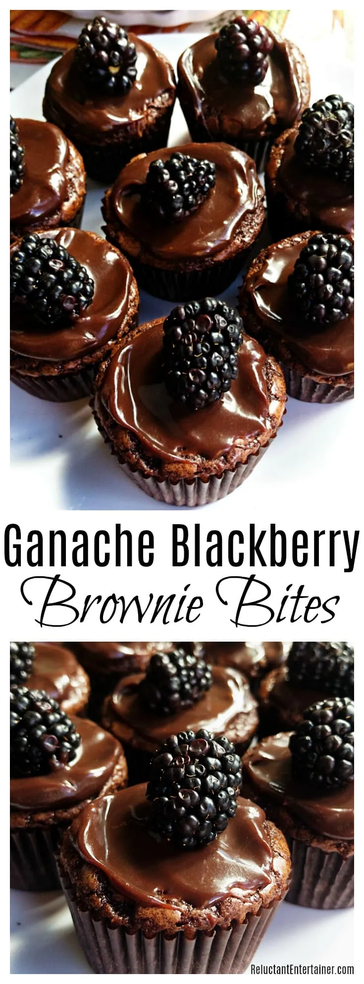 ganache blackberry brownie bites